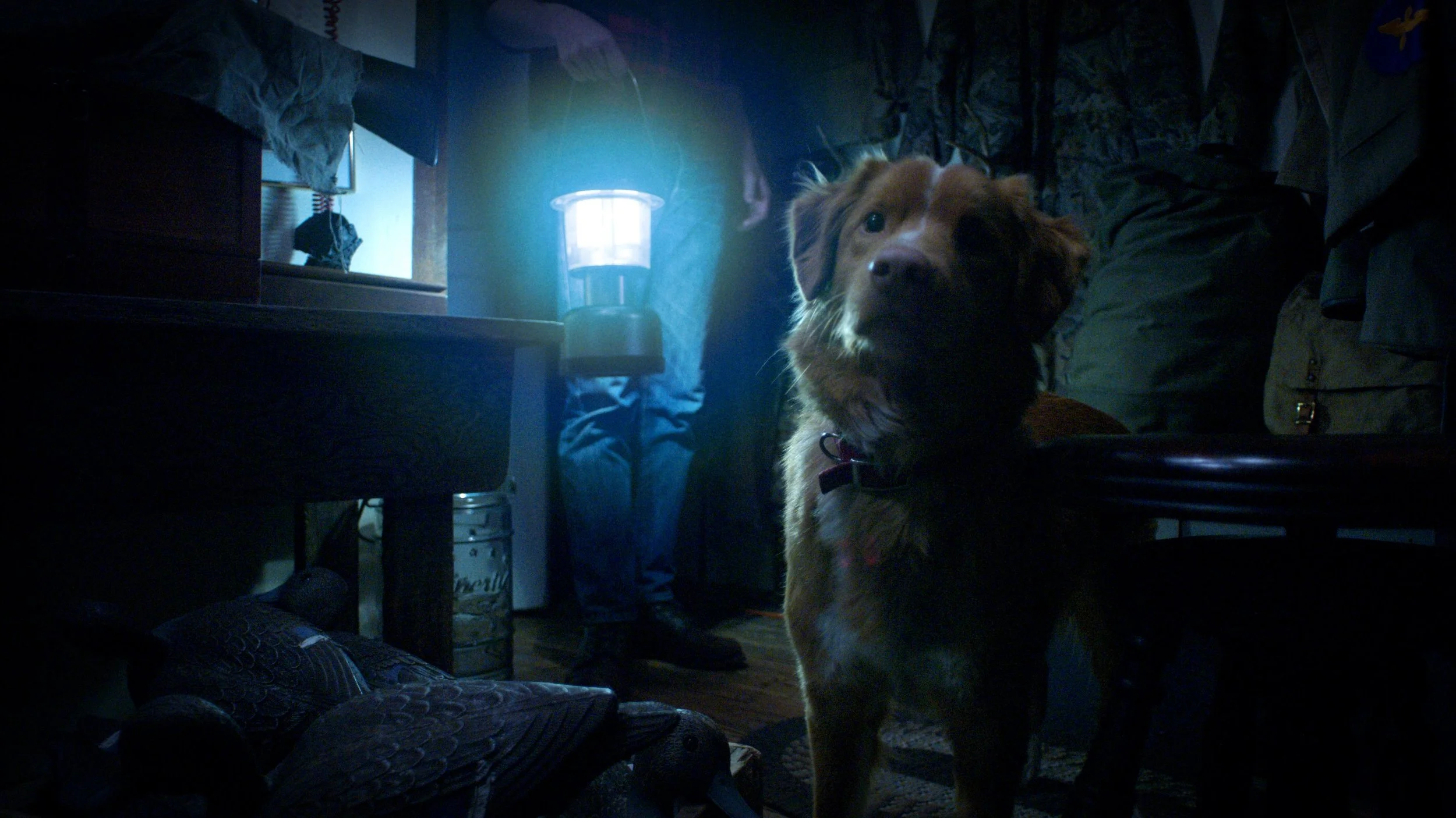 Review: Good Boy (2025)