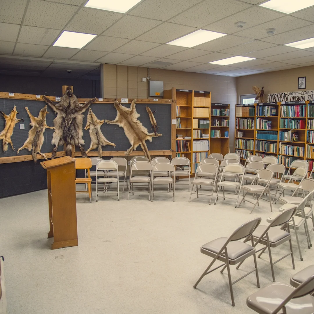 Lecture Room and Museum library