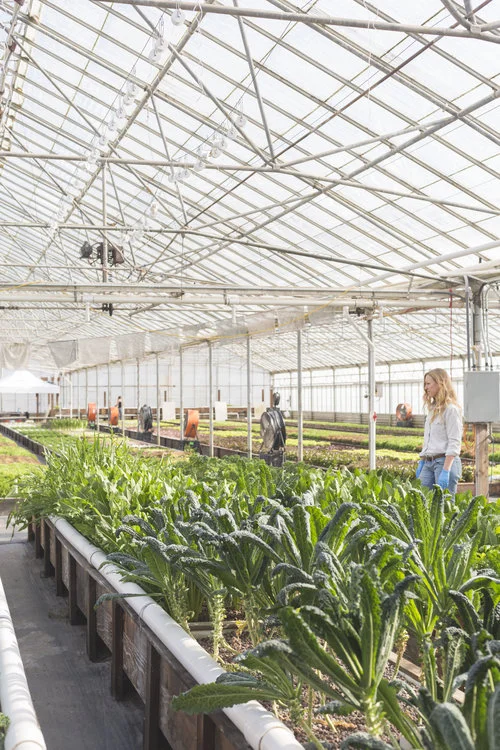 Conscientious farmers create nurturing spaces for the sun to breathe life into the plants, a mindful practice for true health + beauty.