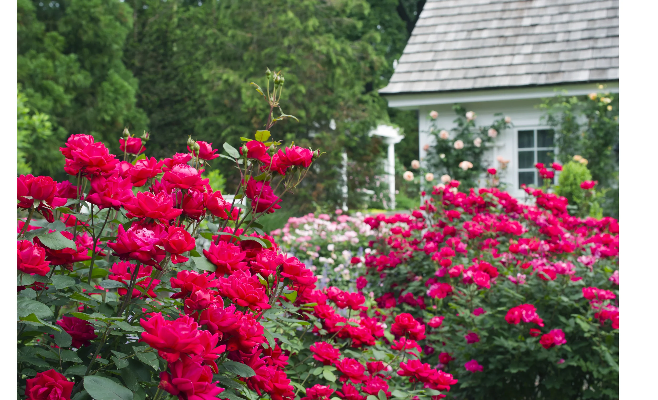 RCP_110529_0443.jpg