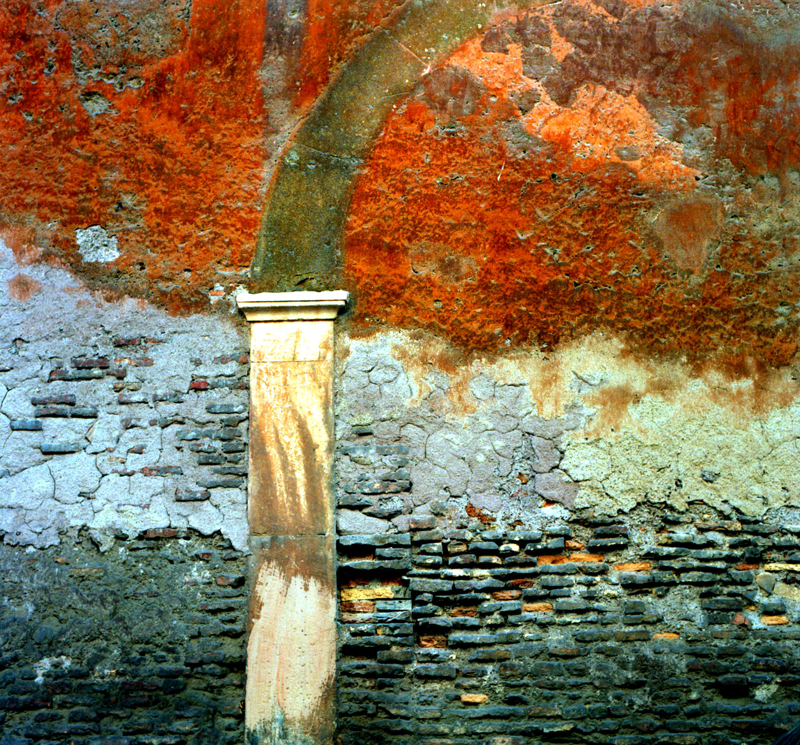 01-dell'orto.jpg