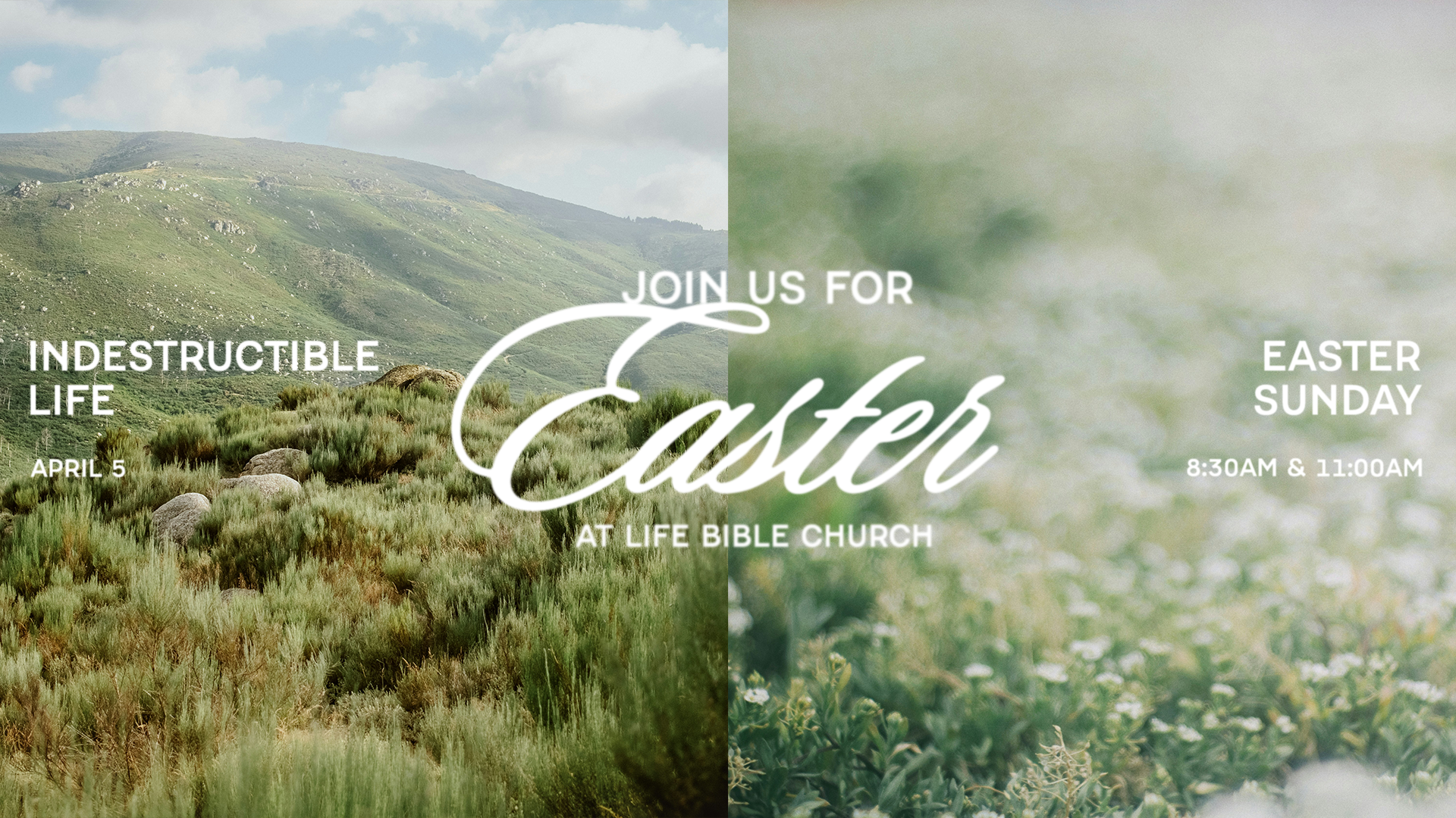 Easter Life Easter — Life Bible Church