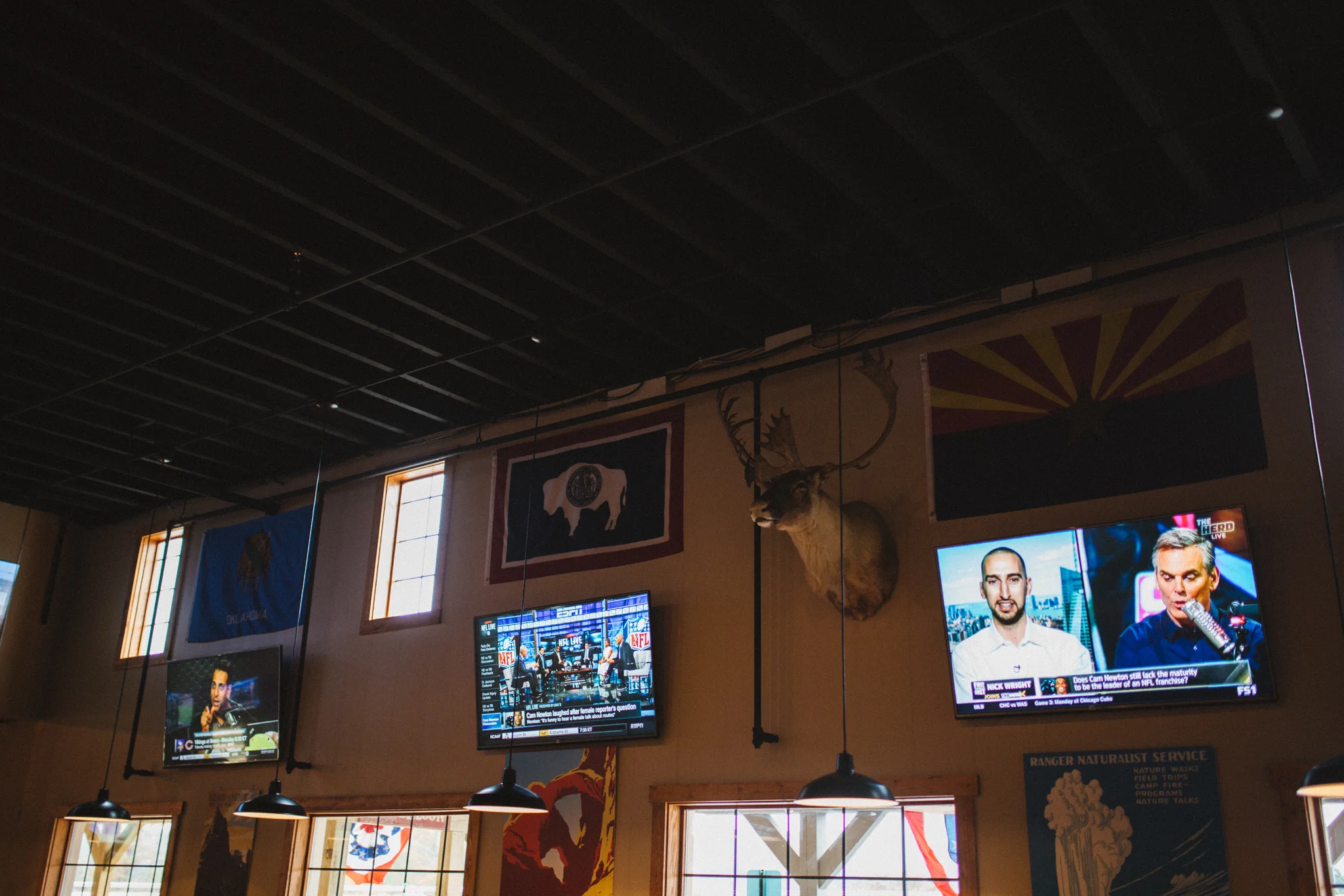 hungry-buffalo-107.jpg