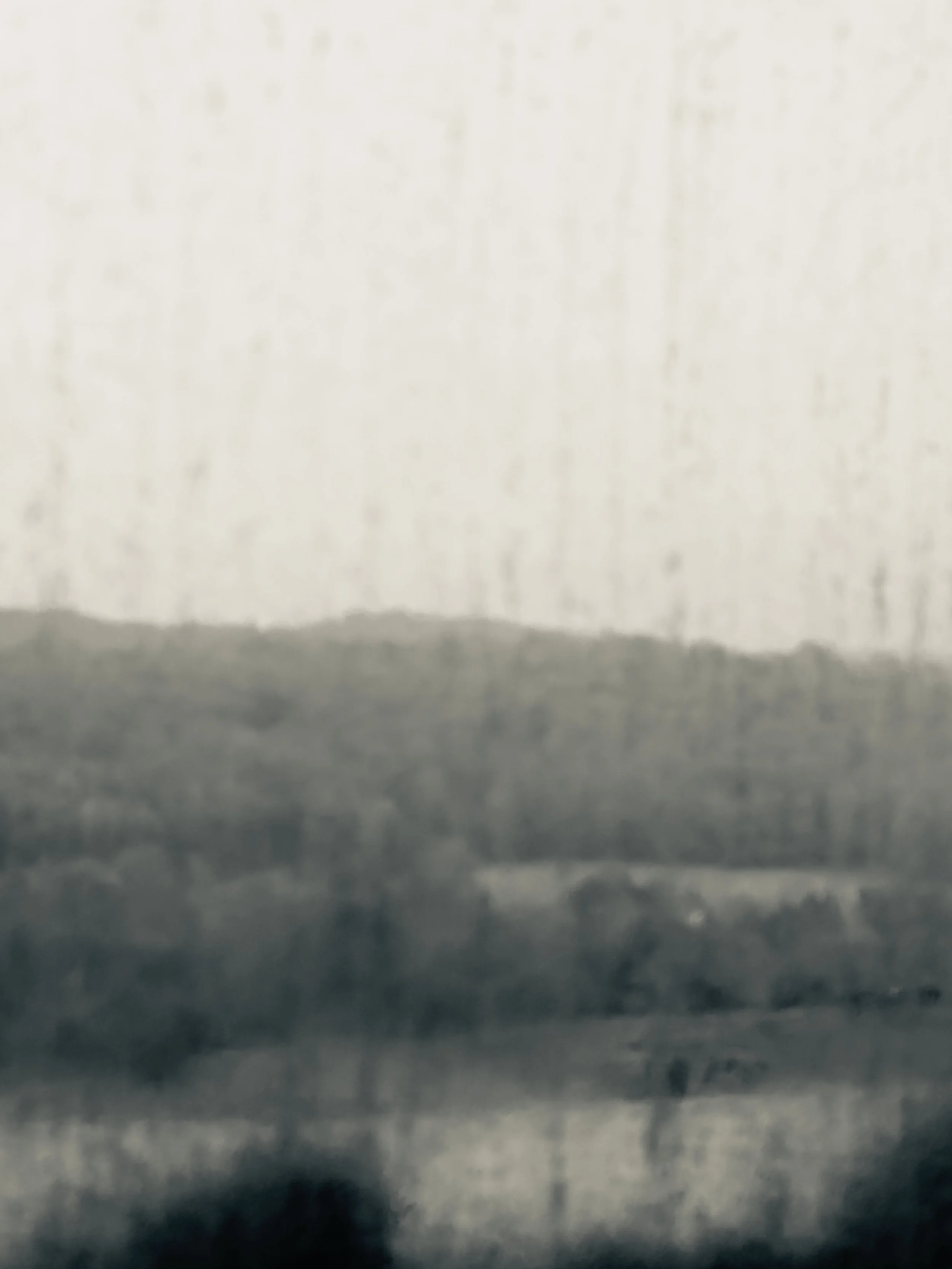 IMG_7026 2.jpeg