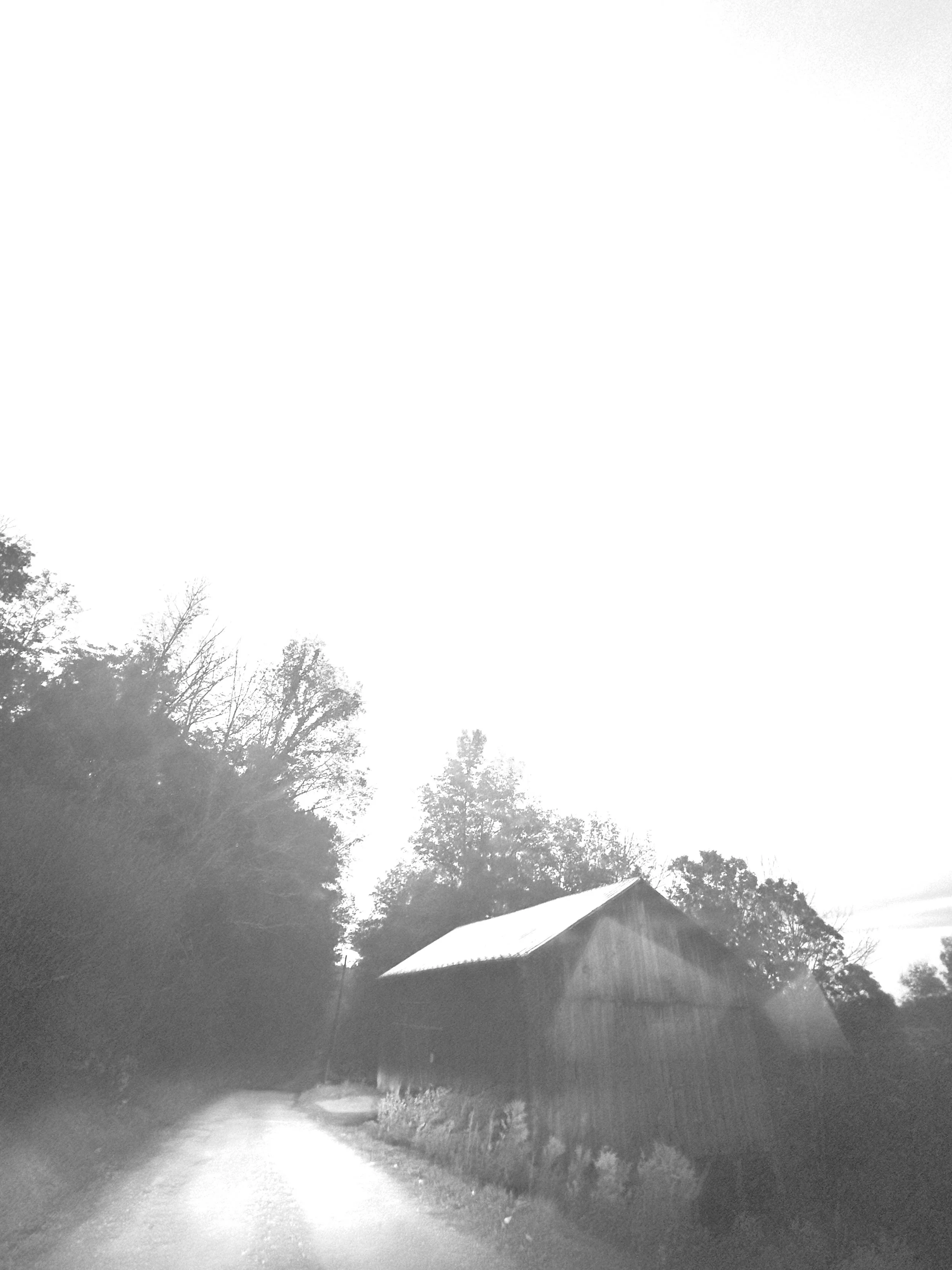 IMG_7061.jpeg