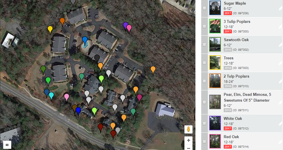Sample Tree Inventory by New Urban Forestry