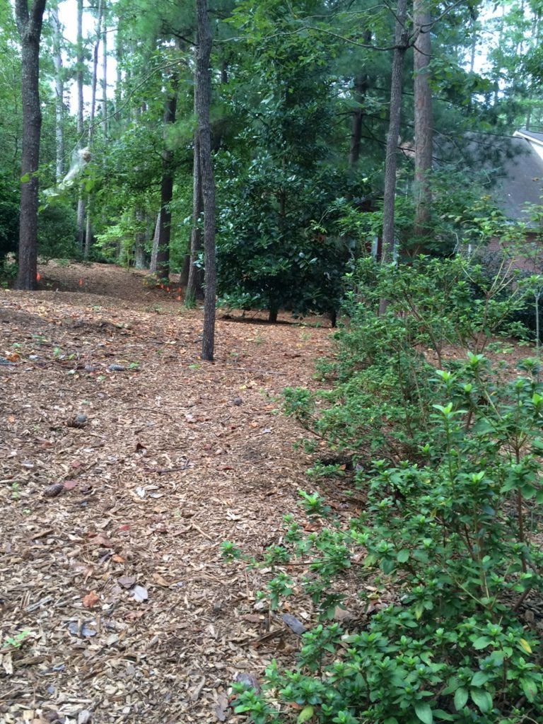 Native Plant Community Design Example at local Athens, Georgia customer home.