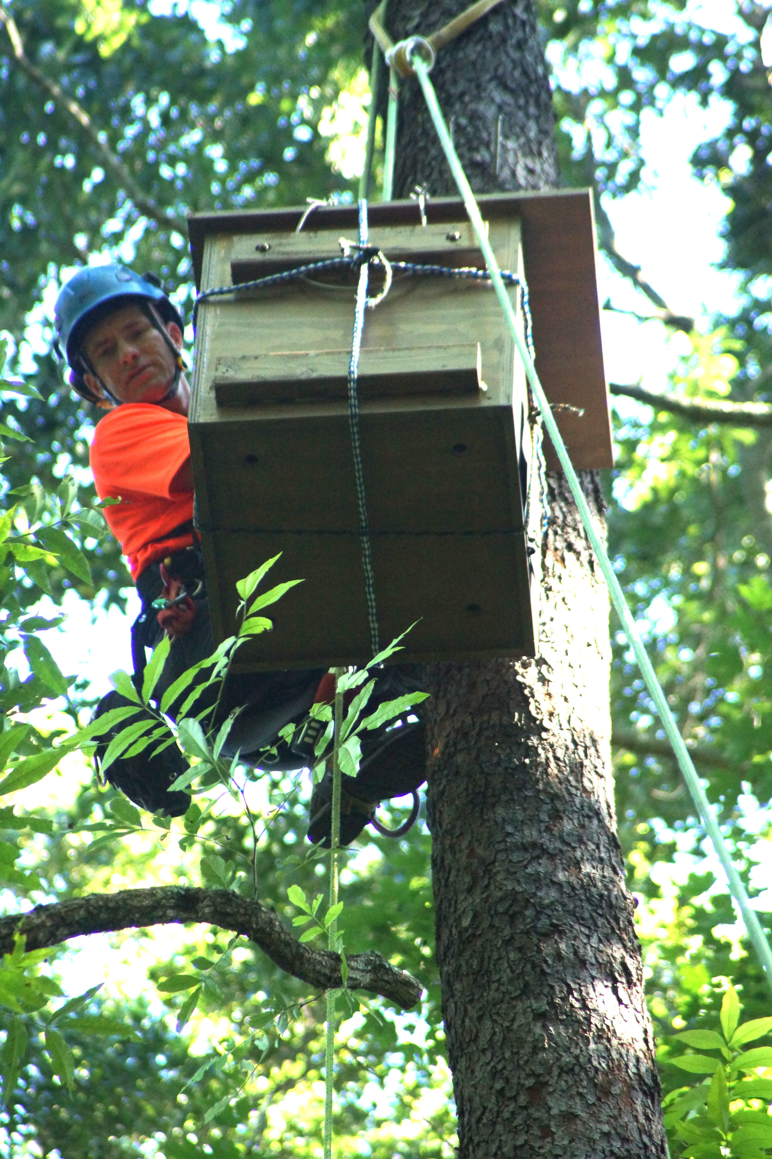  Shawn Doonan positions the box.  