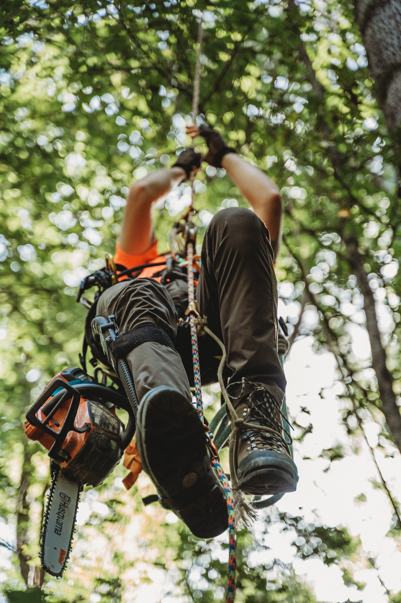 Employment — New Urban Forestry