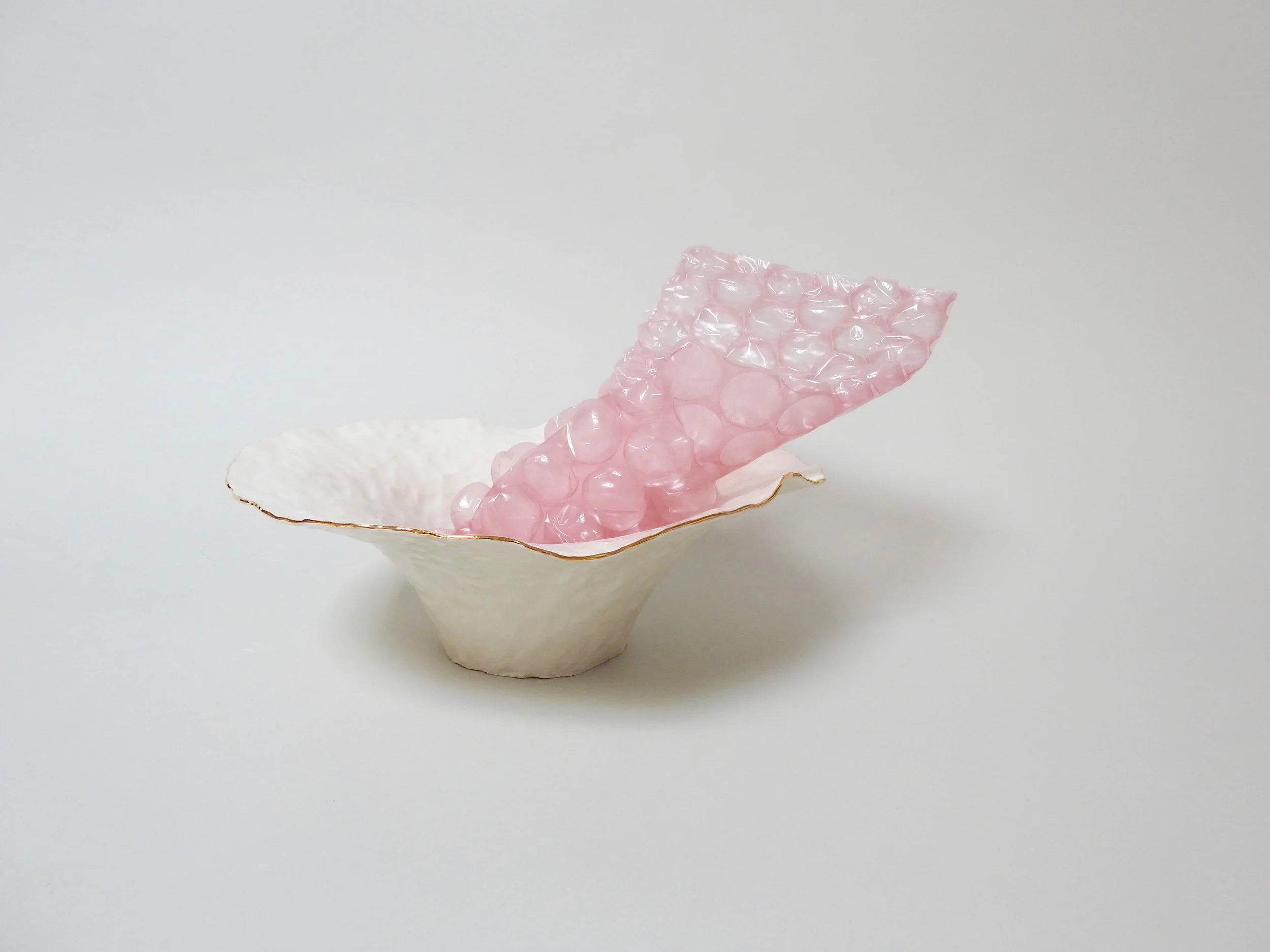 DSCN3537.jpg