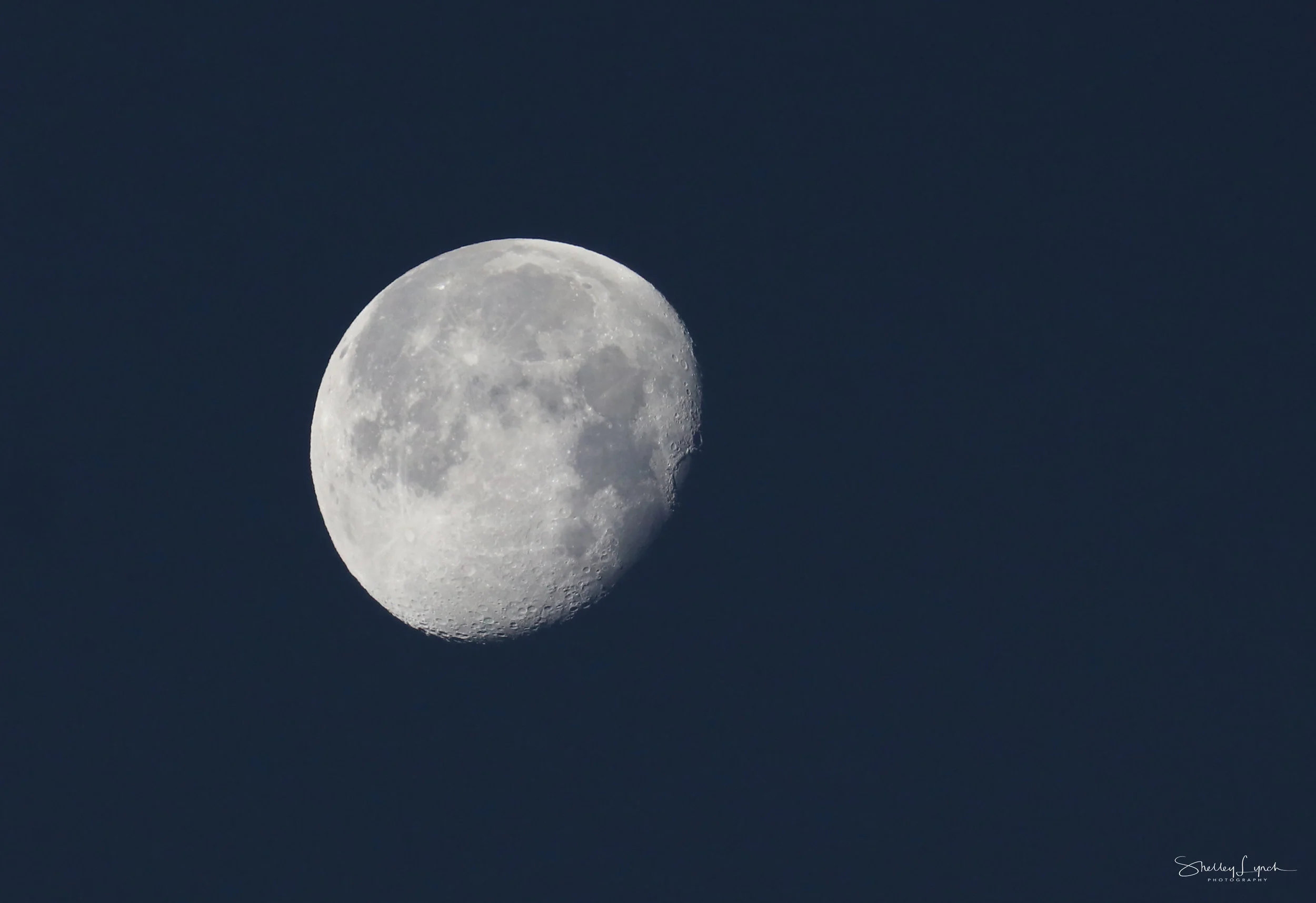 IMG_86712.jpg