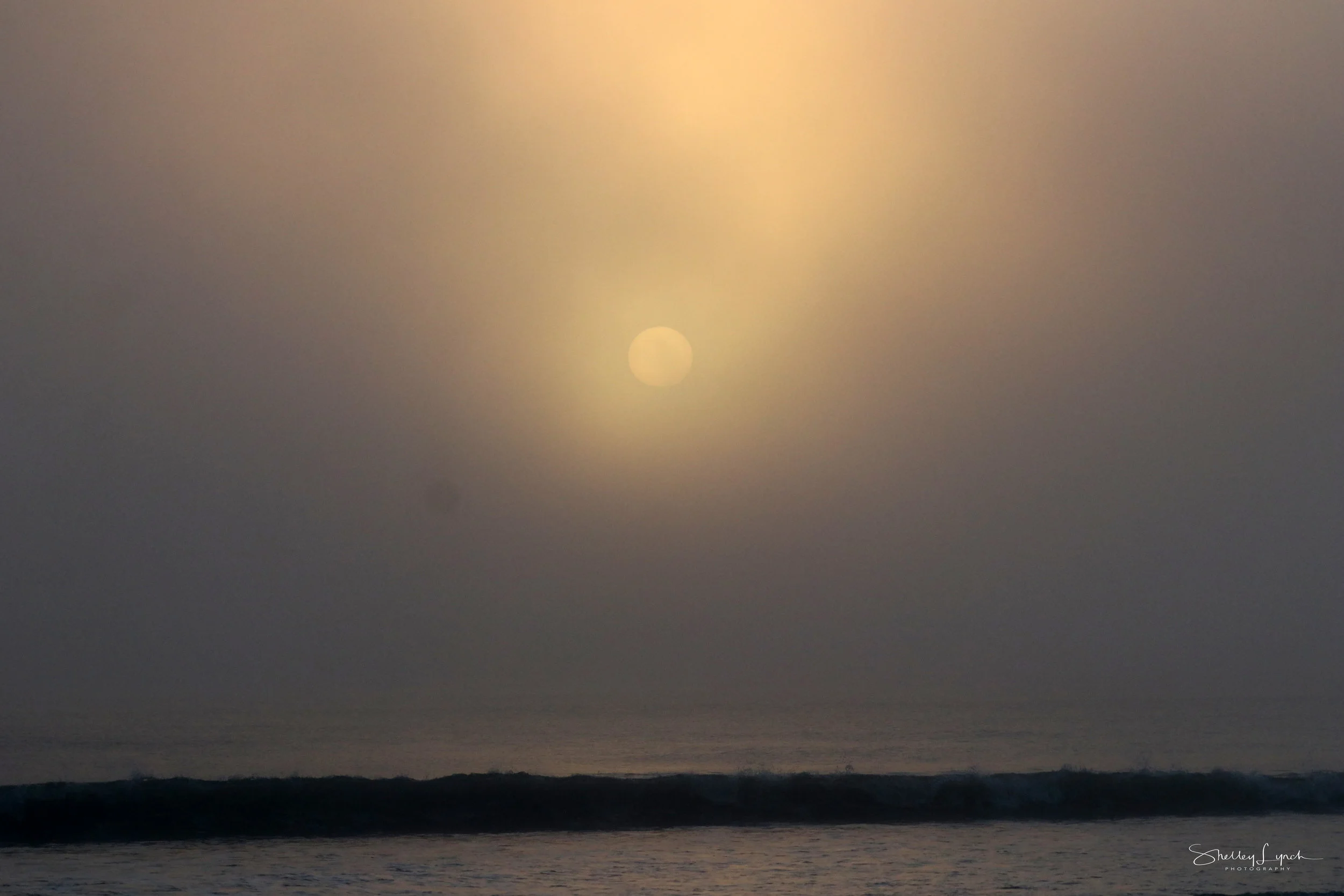 IMG_75582.jpg