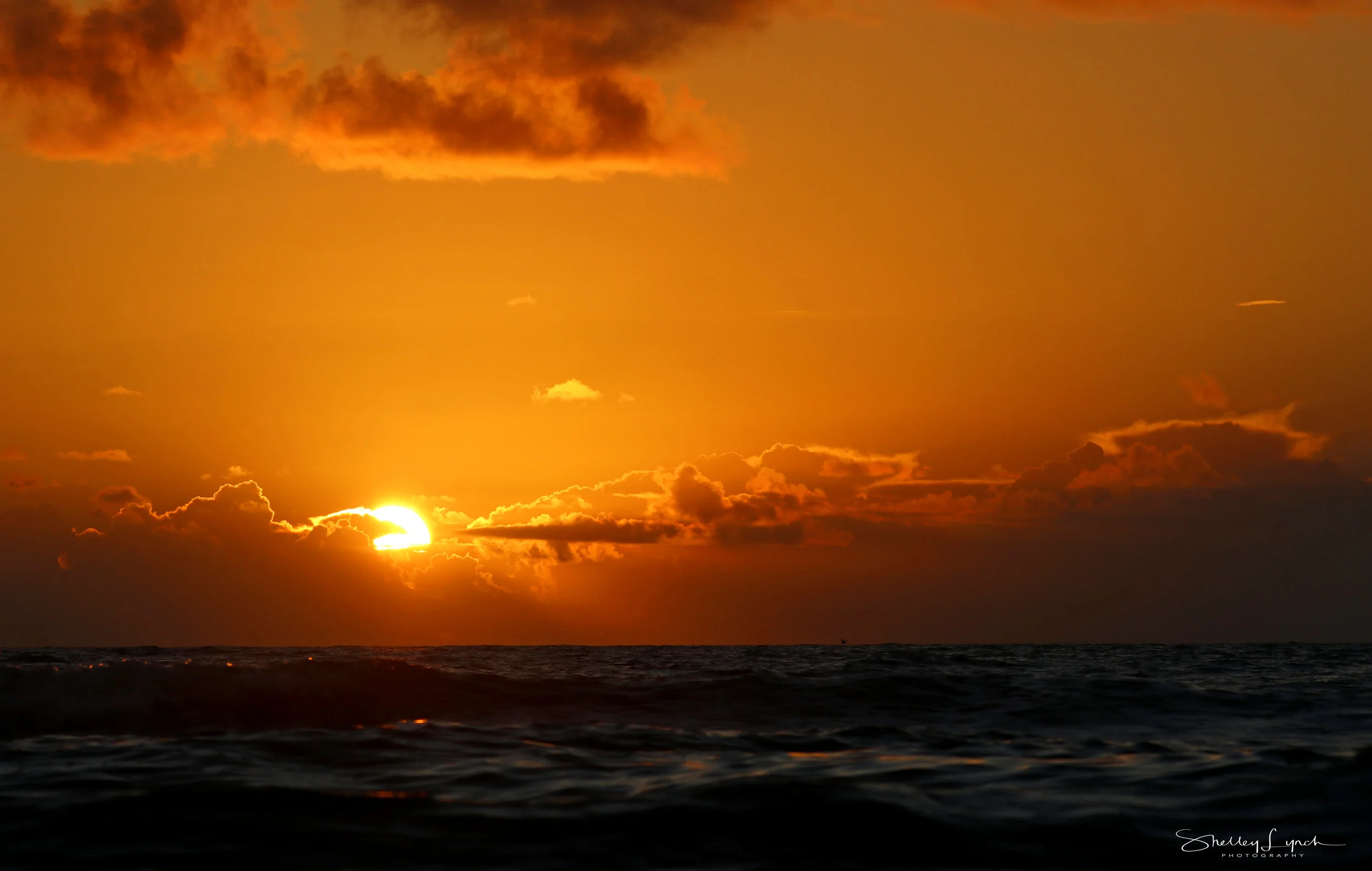 IMG_80823.jpg