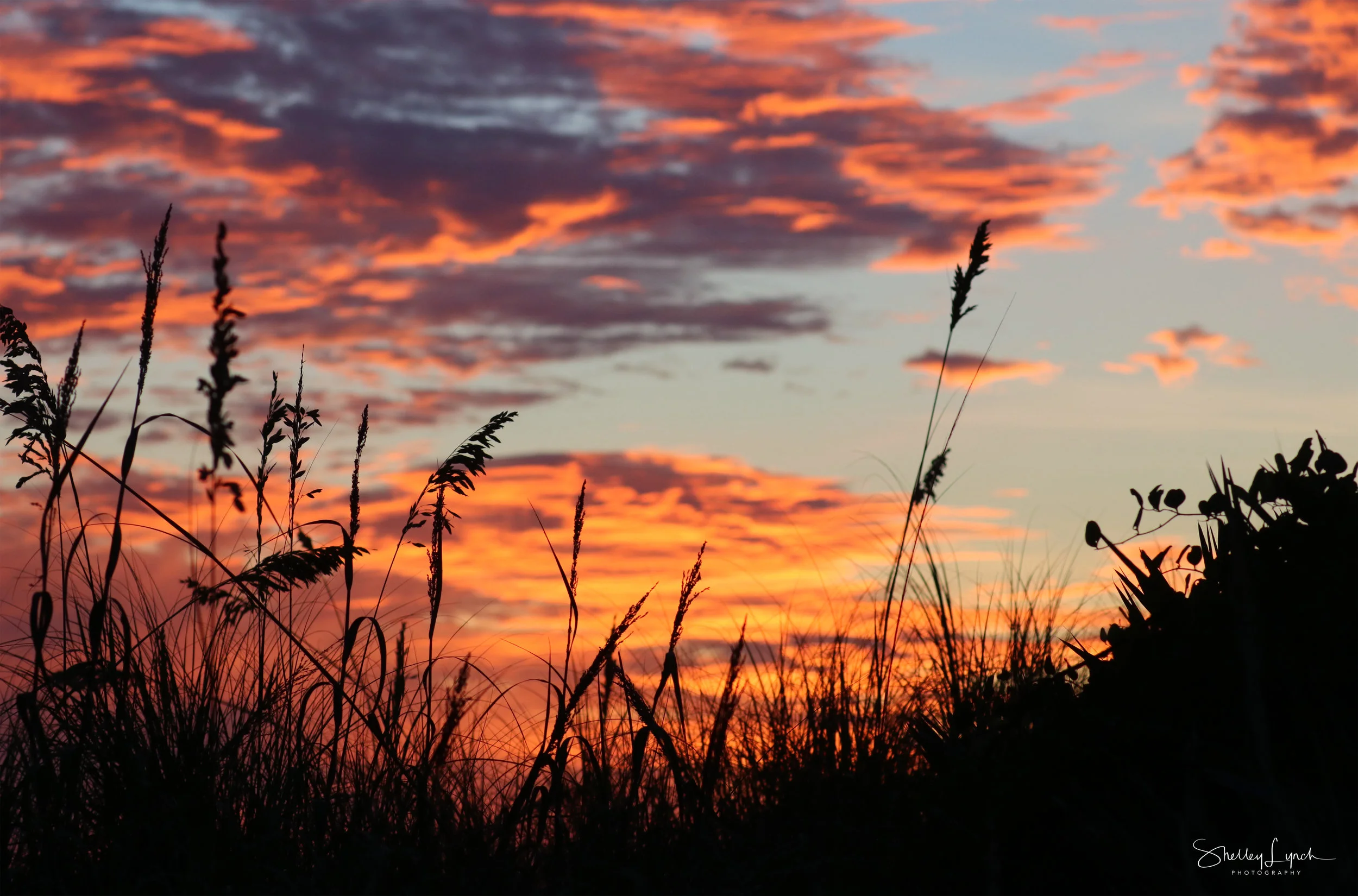 Pre sunrise beauty