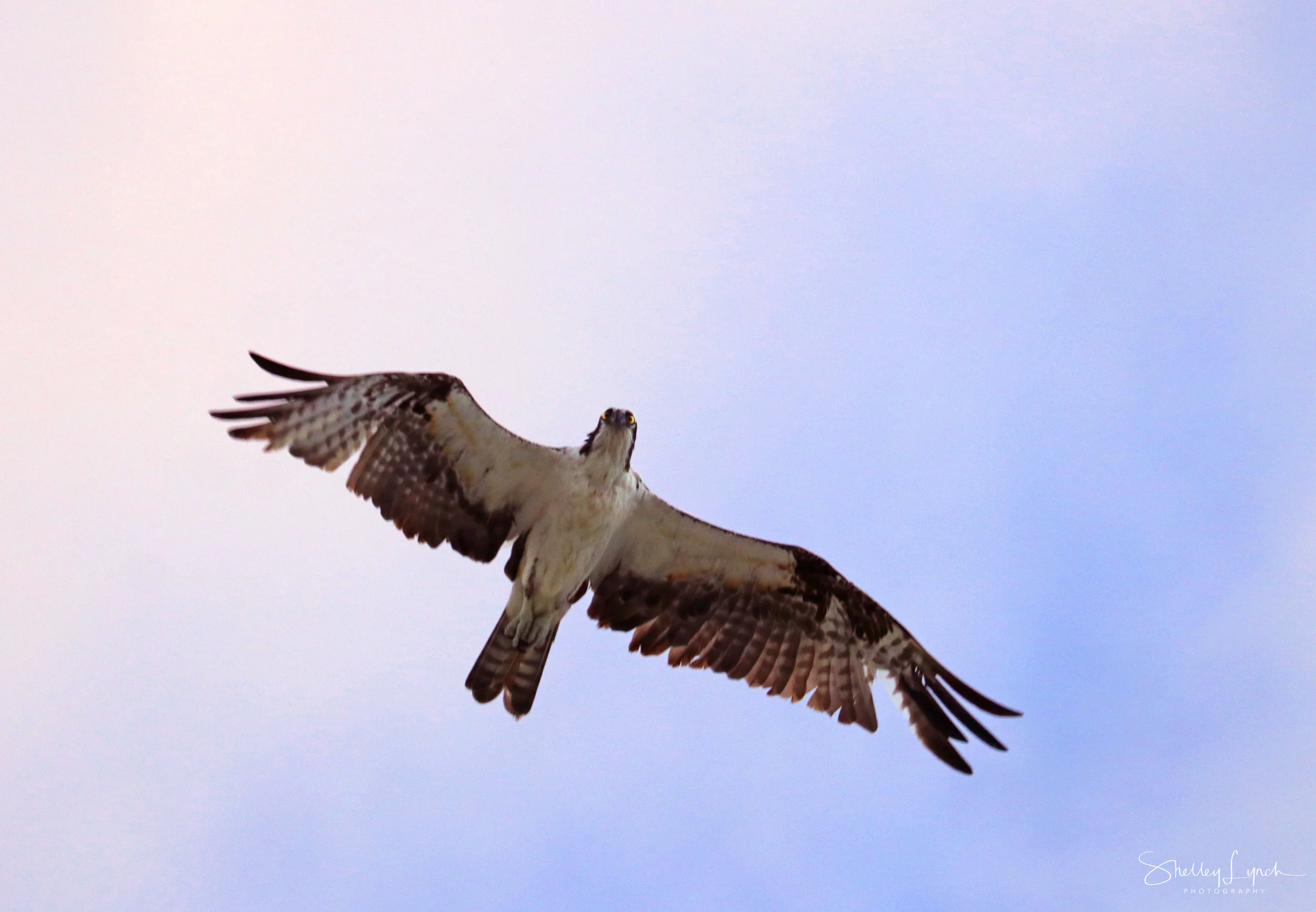 IMG_53733.jpg