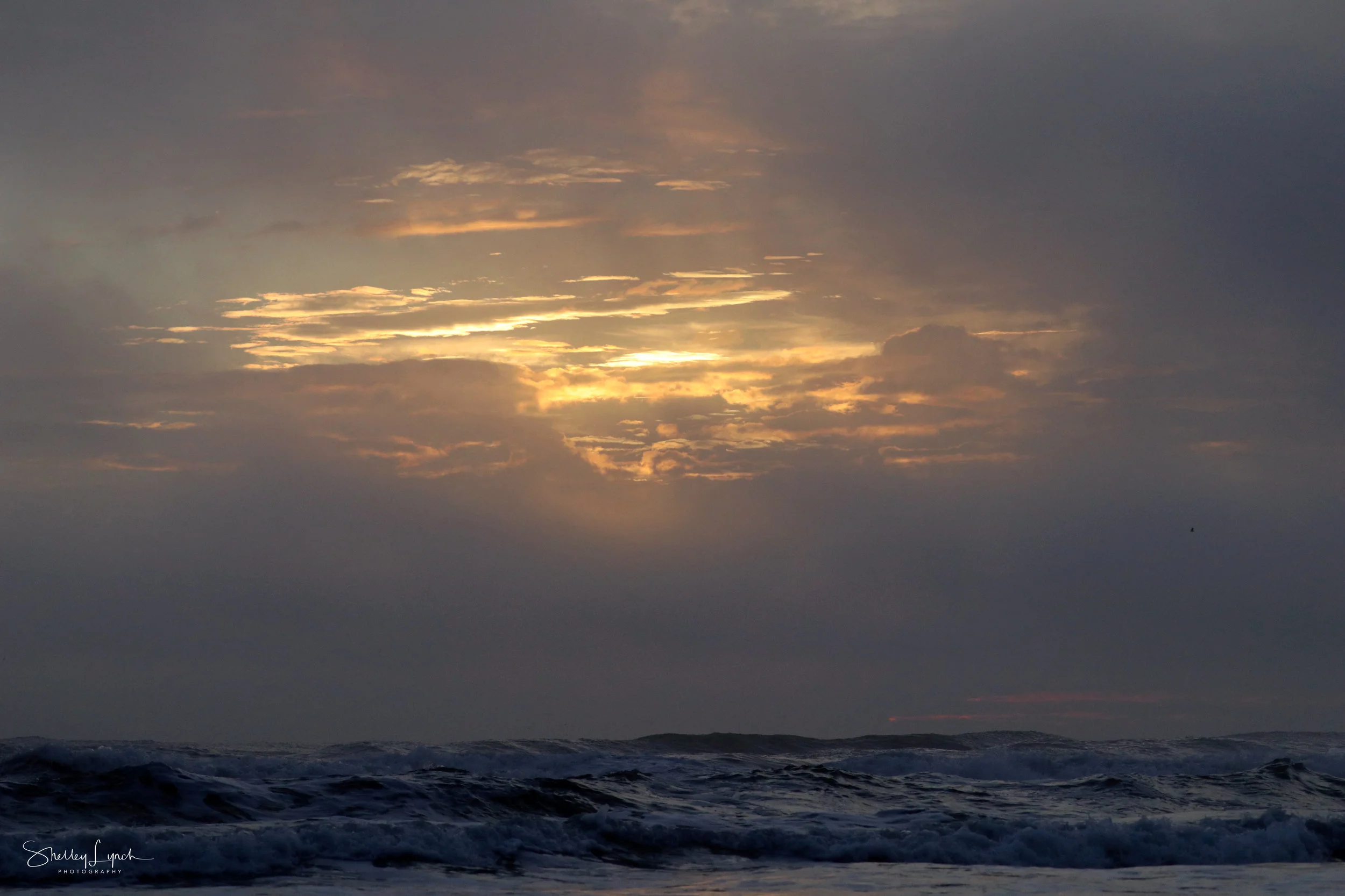 Pre sunrise softness