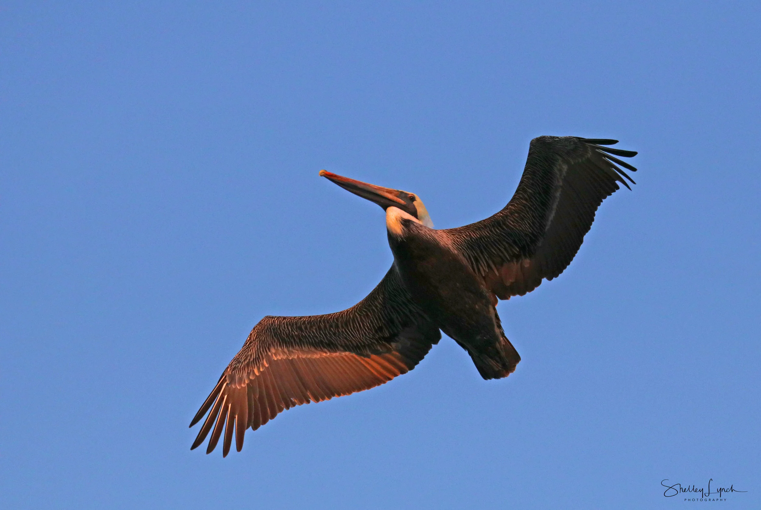 IMG_75653.jpg