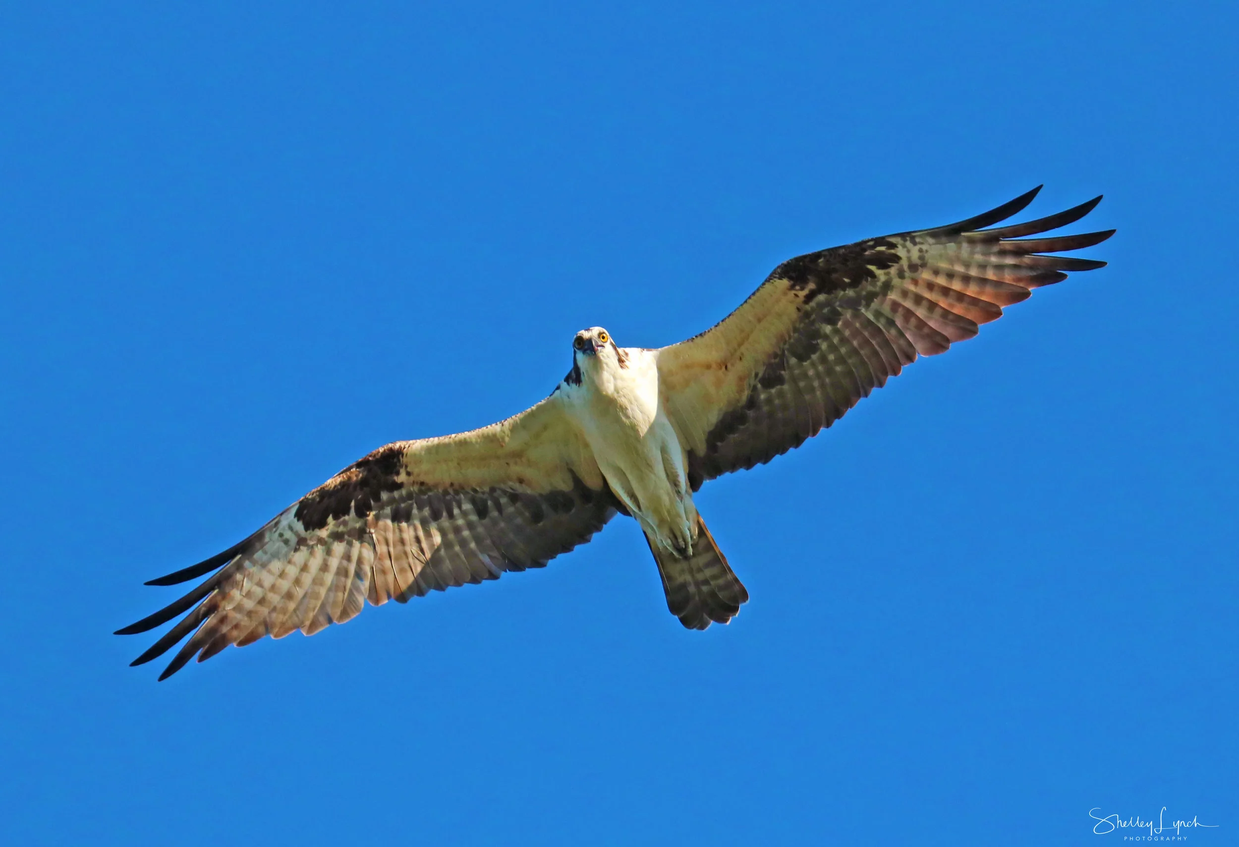 IMG_59753.jpg
