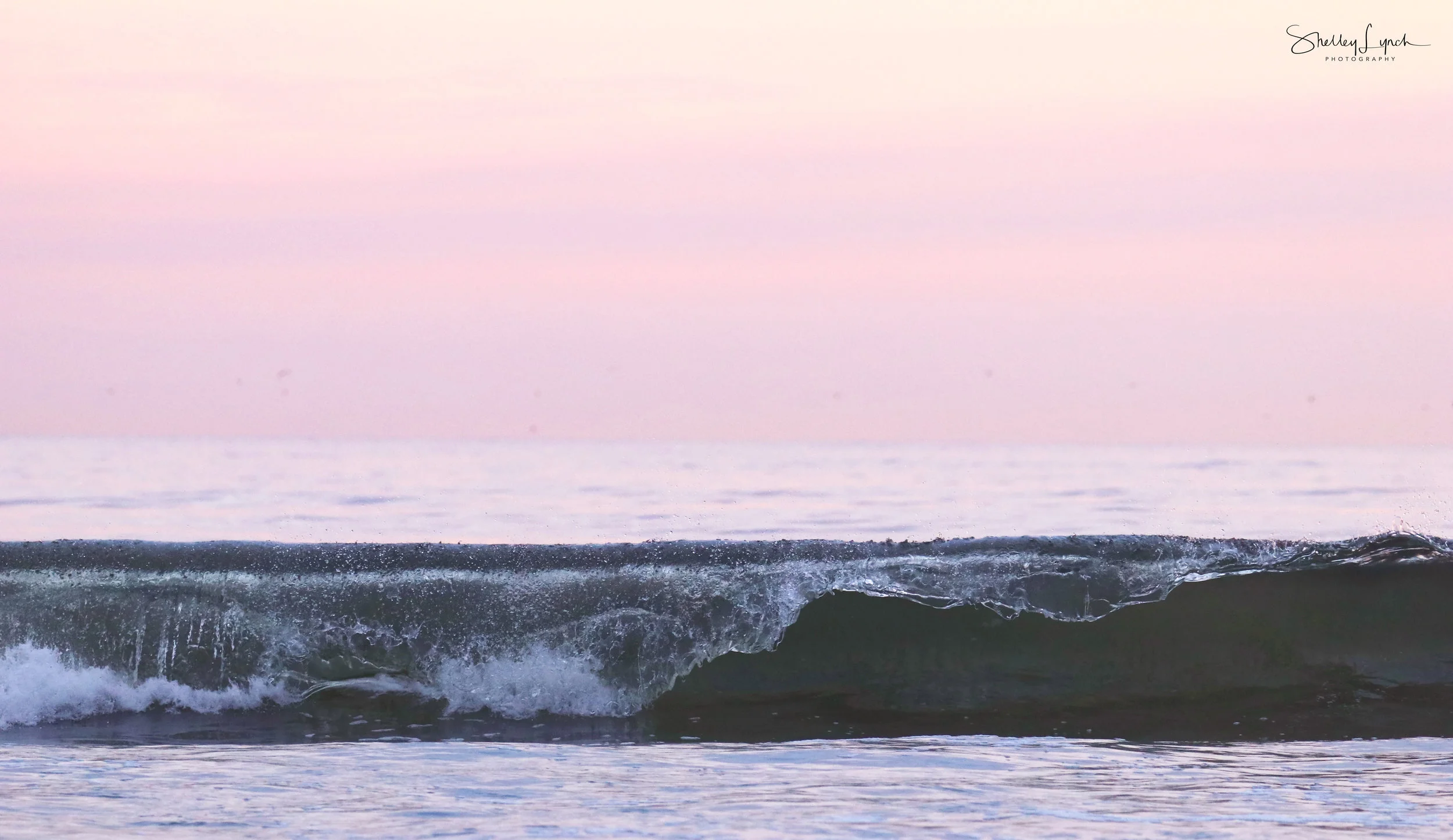 Can you see the fishy in the wave?
