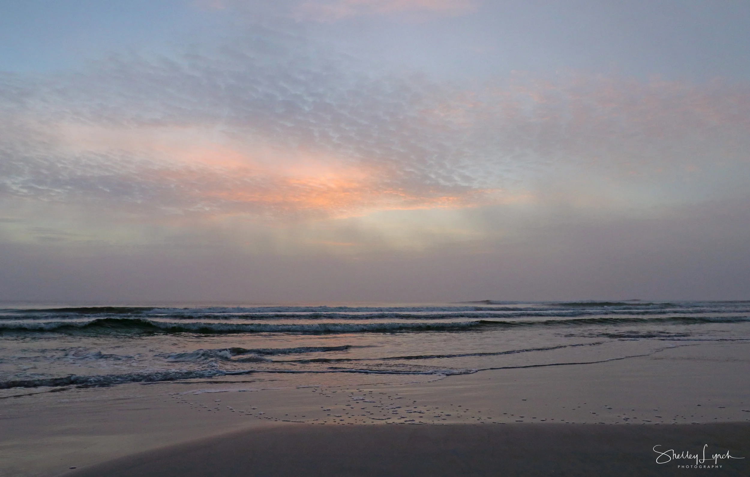 IMG_85613.jpg