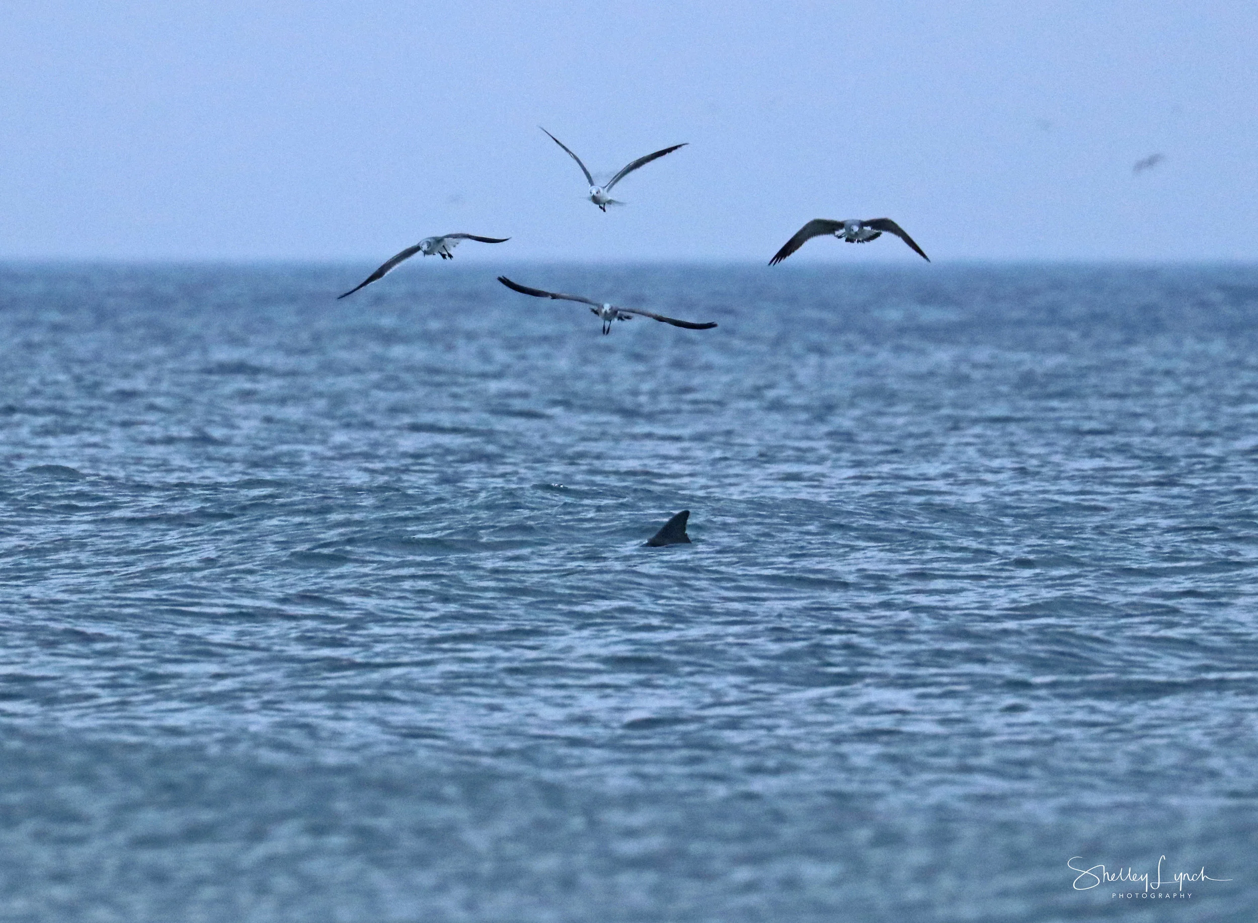 IMG_89743.jpg