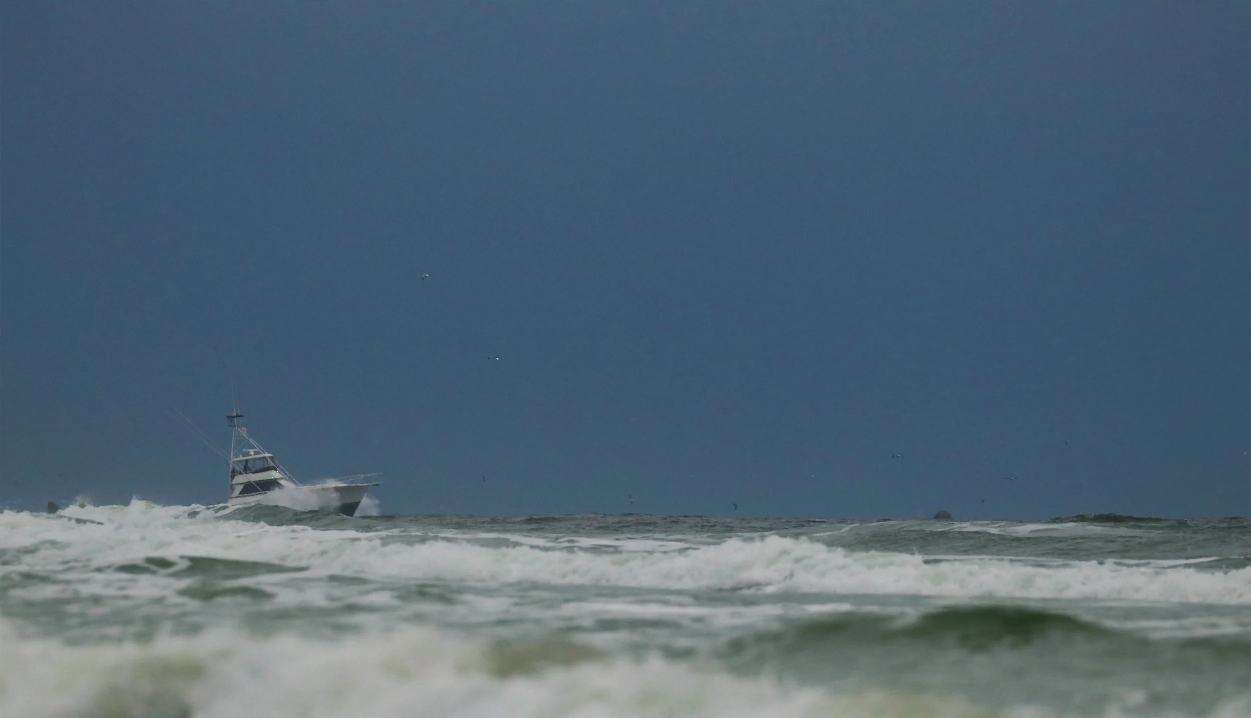IMG_92522.jpg