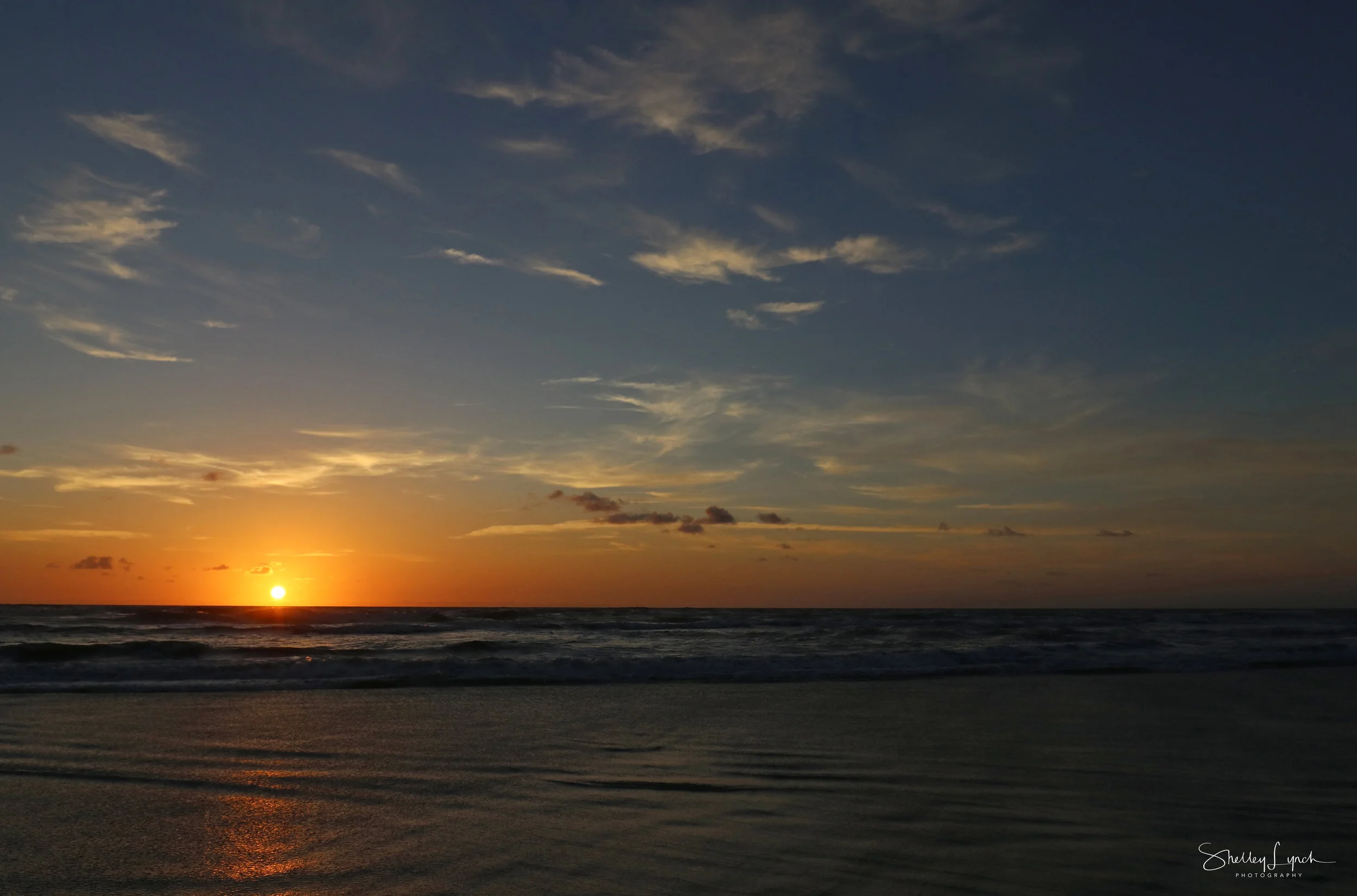 IMG_98533.jpg