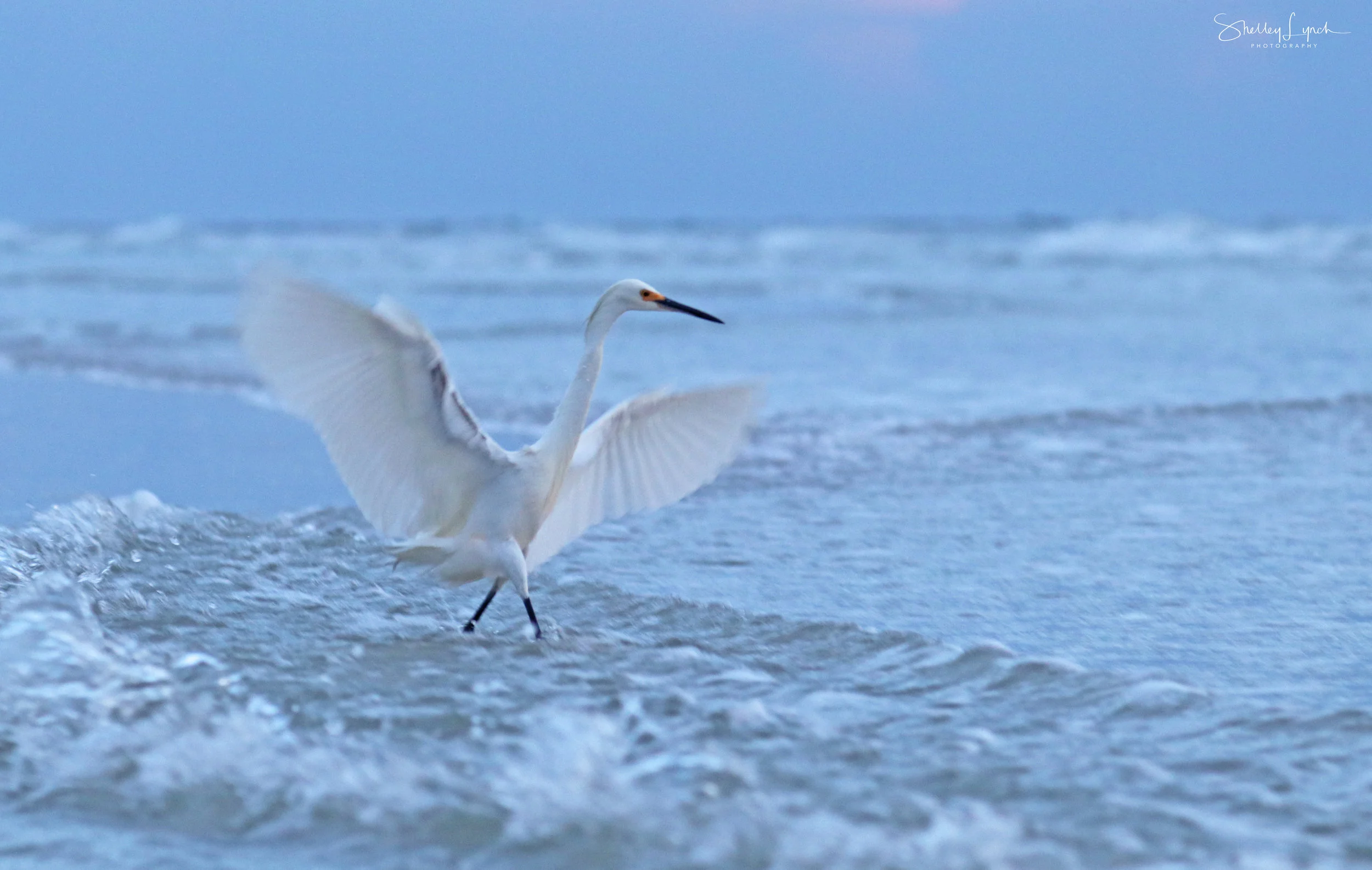 IMG_71663.jpg