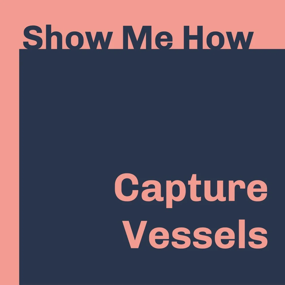 A square with dark blue text over a salmon background at top reads “Show Me How”. Next, salmon text over a dark blue square reads “Capture Vessels”.