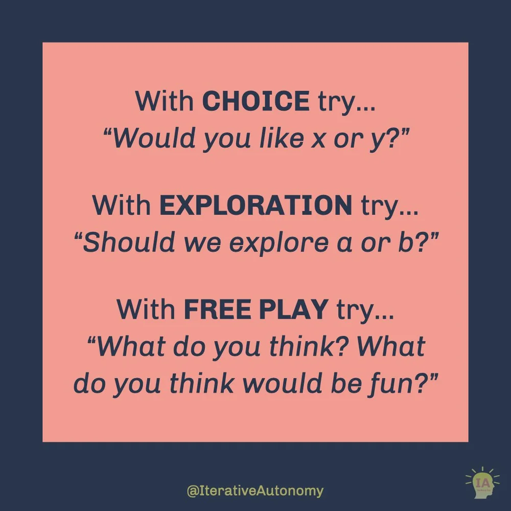  A salmon colored square on a dark blue background with dark blue text that reads: With CHOICE try “Would you like x or y?”. With EXPLORATION try “Should we explore a or b?”. With FREE PLAY try “What do you think? What do you think would be fun?”. 