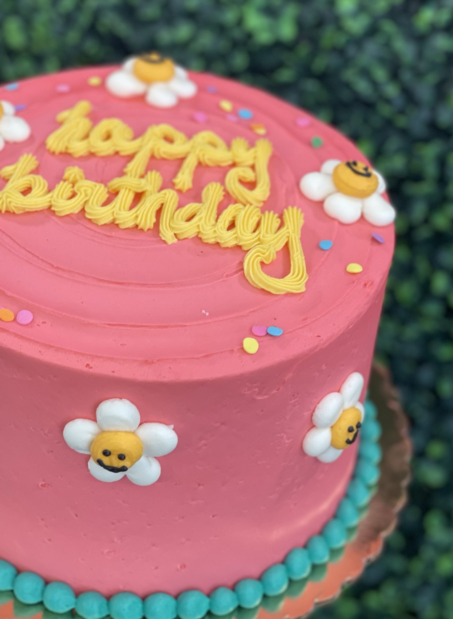 Decorated Party Cakes — Vanilla Sugar Bakery