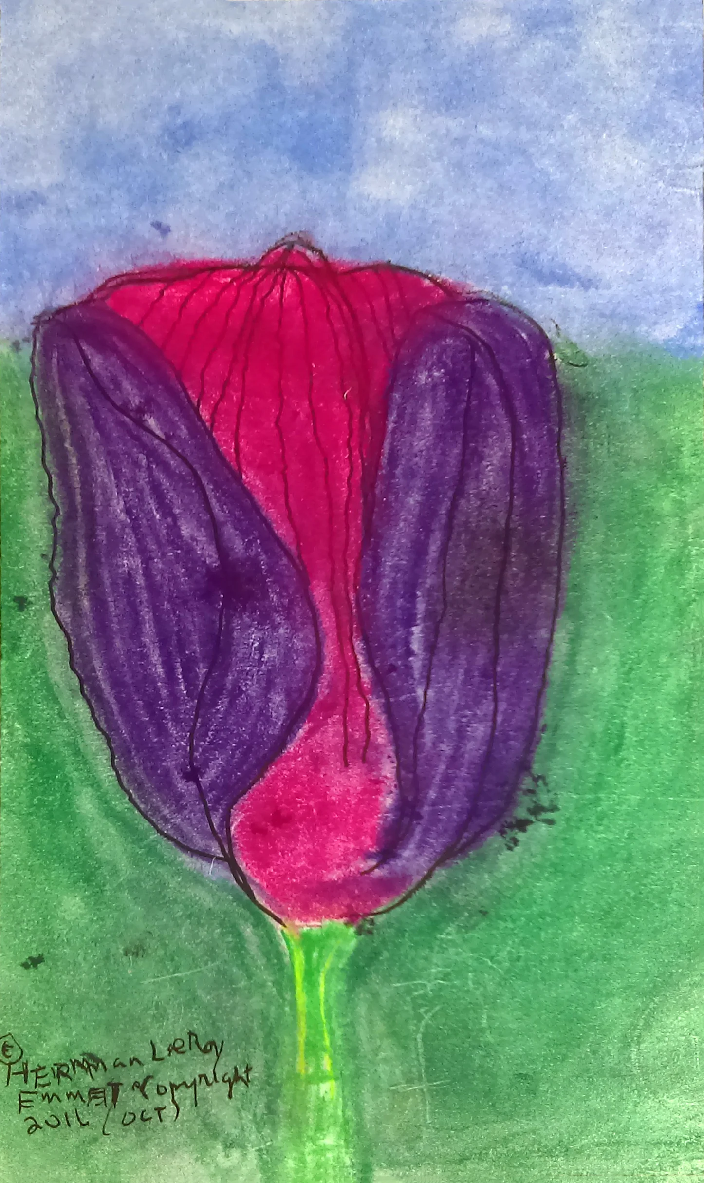 Tulip