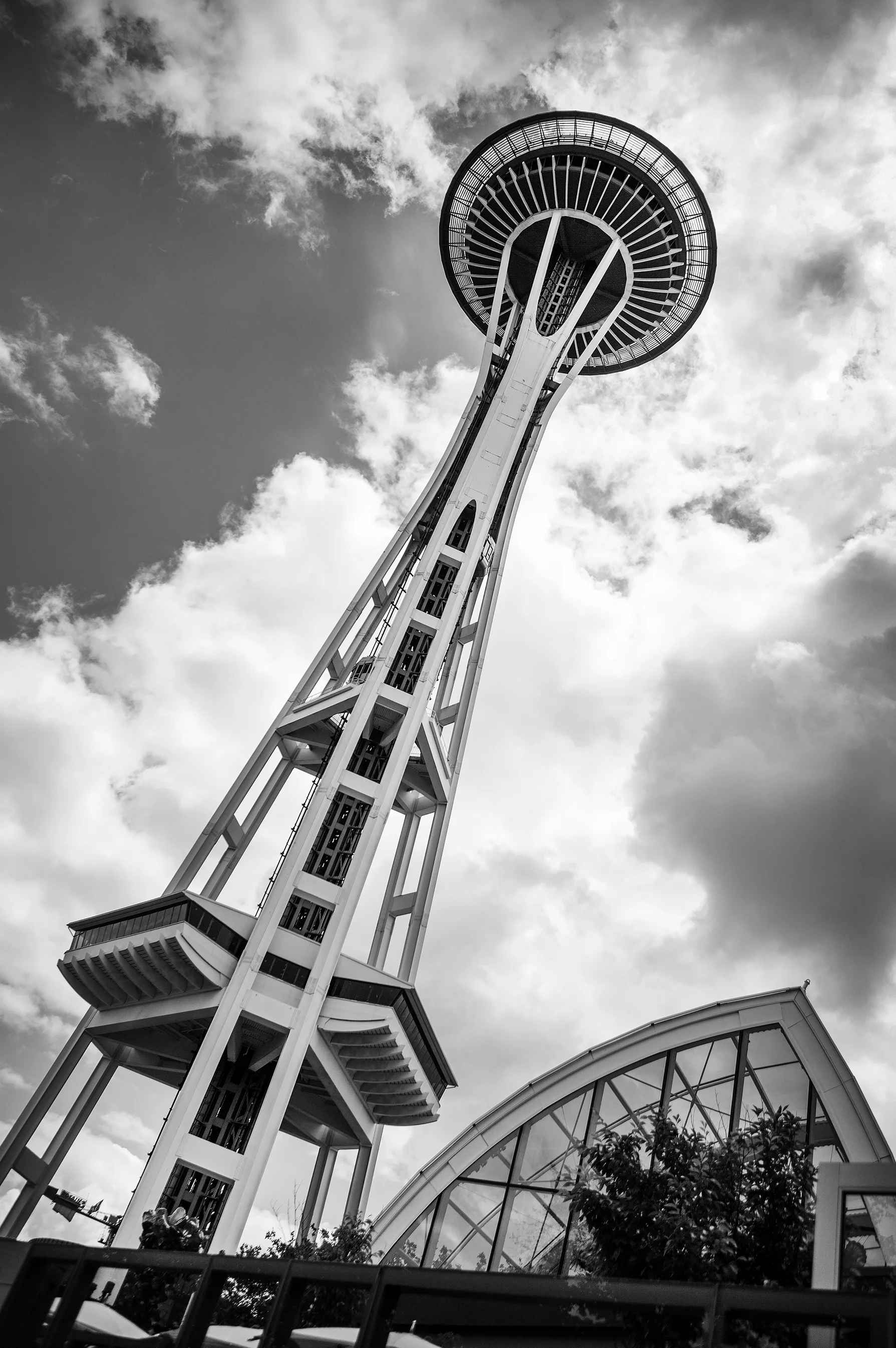 IMG_8731.BW.jpg