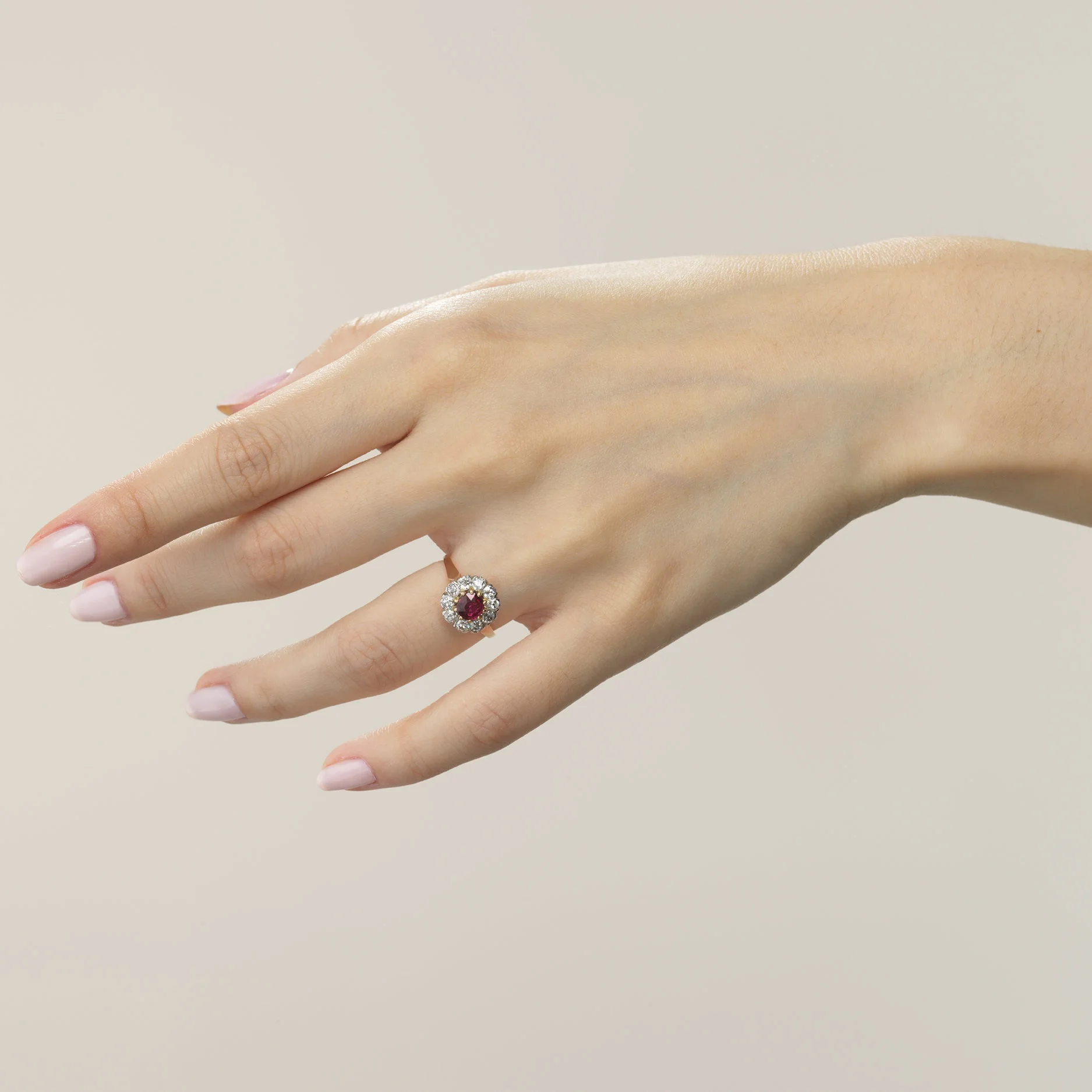 ZH_11428small.jpg