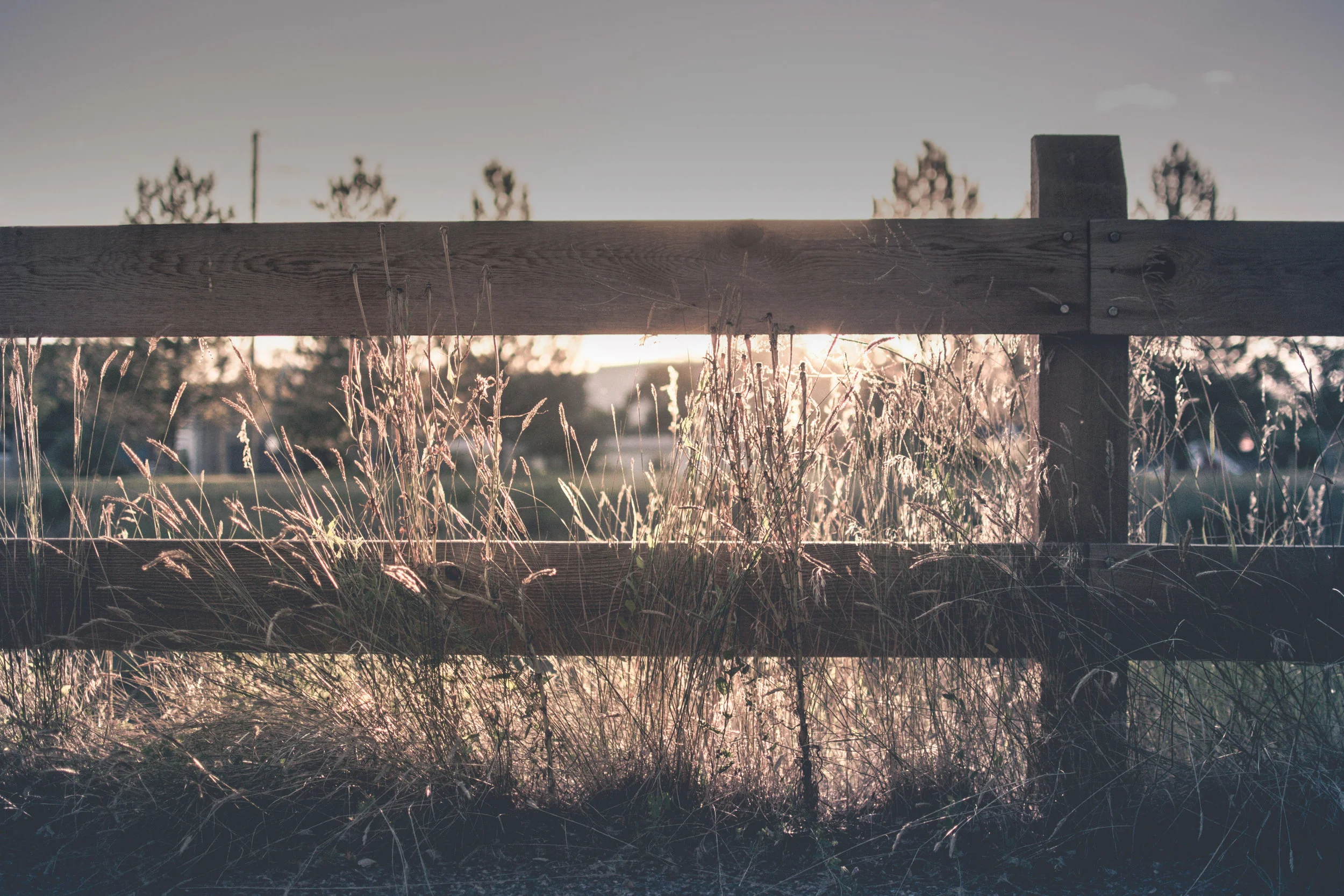 Fence a.jpg