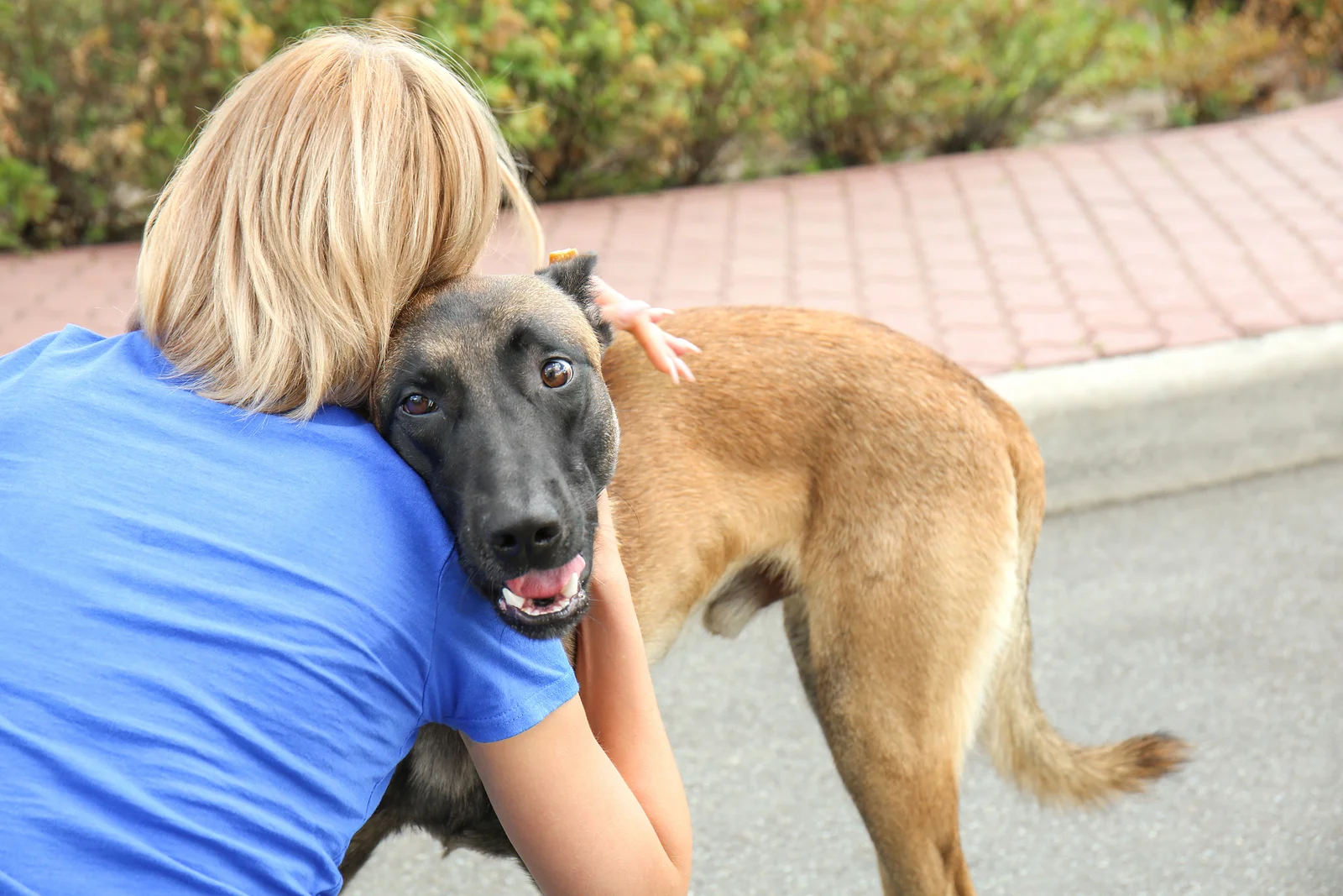 Port-Orchard-Animal-Clinic_Dr-Liz-Oien-DVM_Veterinarian_pet-care_microchips-work.jpg