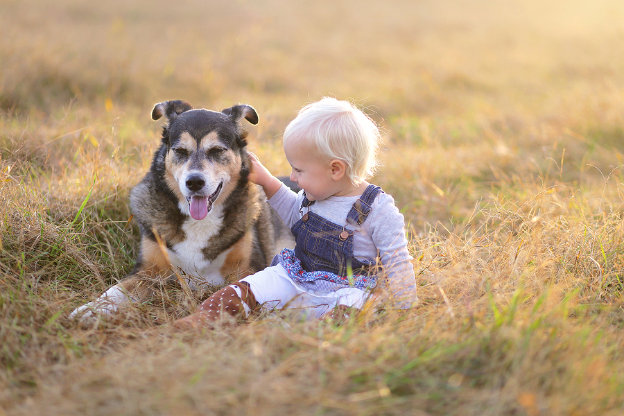 kids-dogs-veterinary-care.jpg