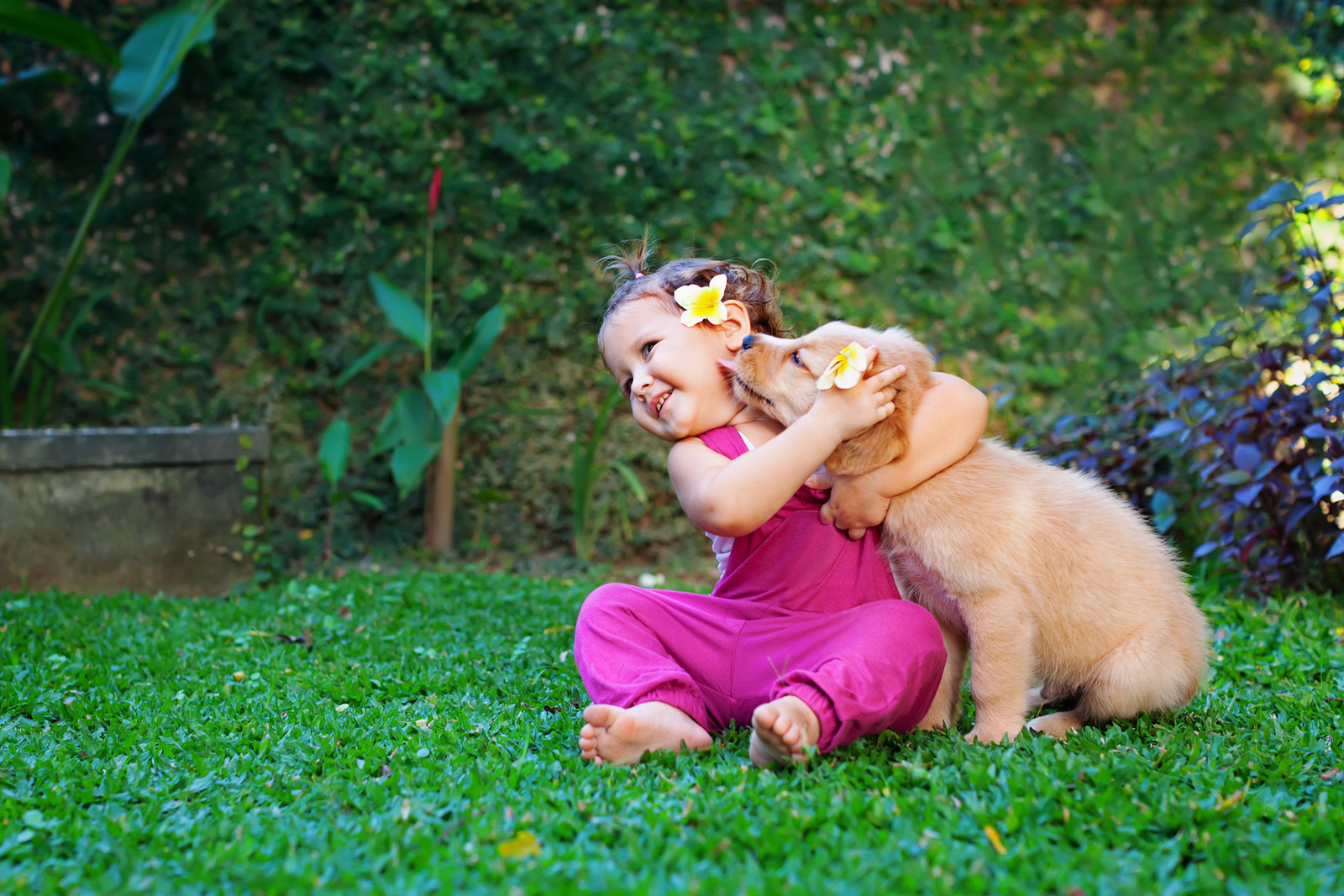 Картинка для детей девочка в обнимку со щенком. People and Pets on the ground. Dog Family. A girl with a Puppy pictures for Kids.