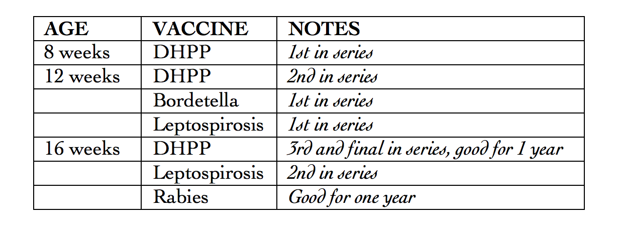  Puppy Vaccine Schedule