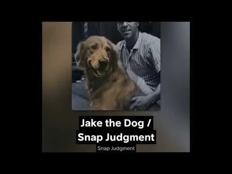Snap Judgement: Jake the Dog