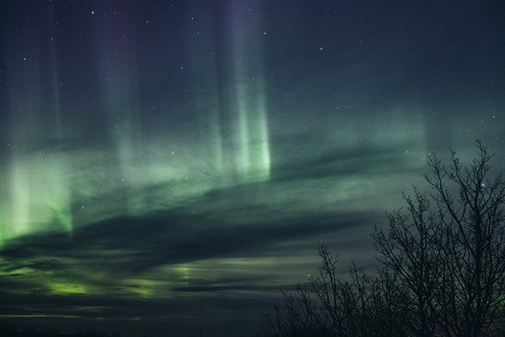 Aurora_Waskesiu__0003.jpg