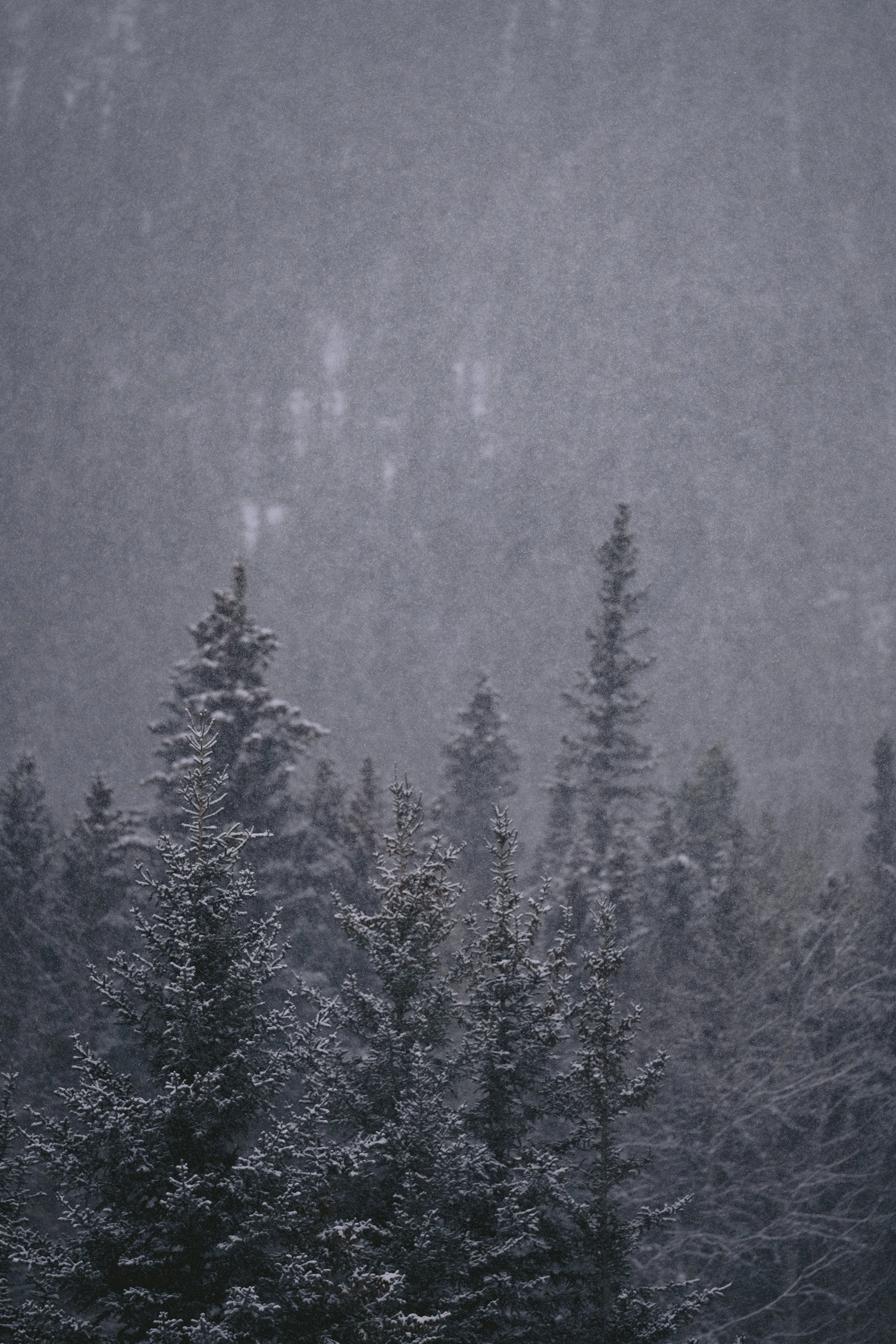 banff10.jpg