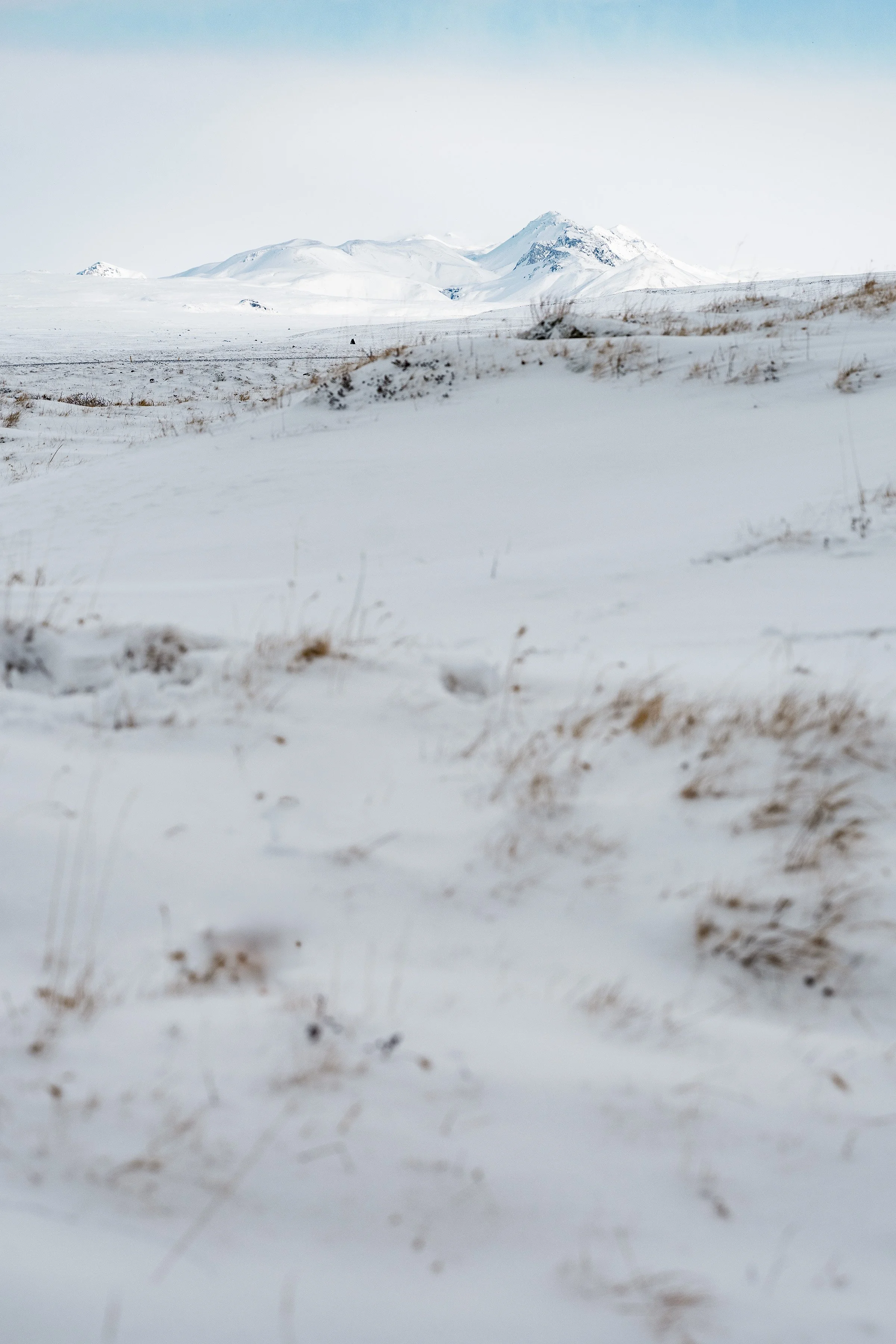 Iceland March 2026_march 22-8.jpg
