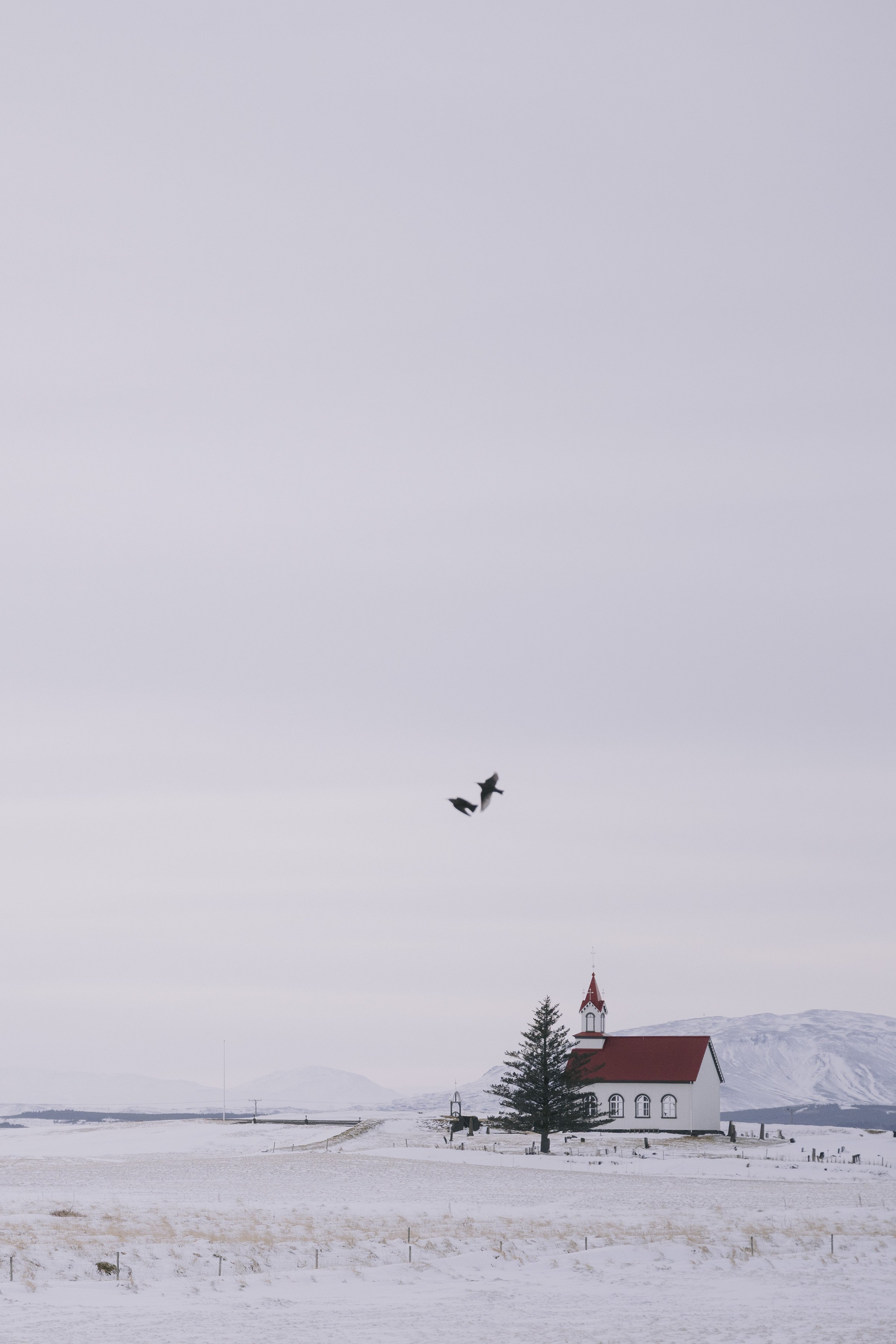 Iceland March 2026_march 25-12.jpg