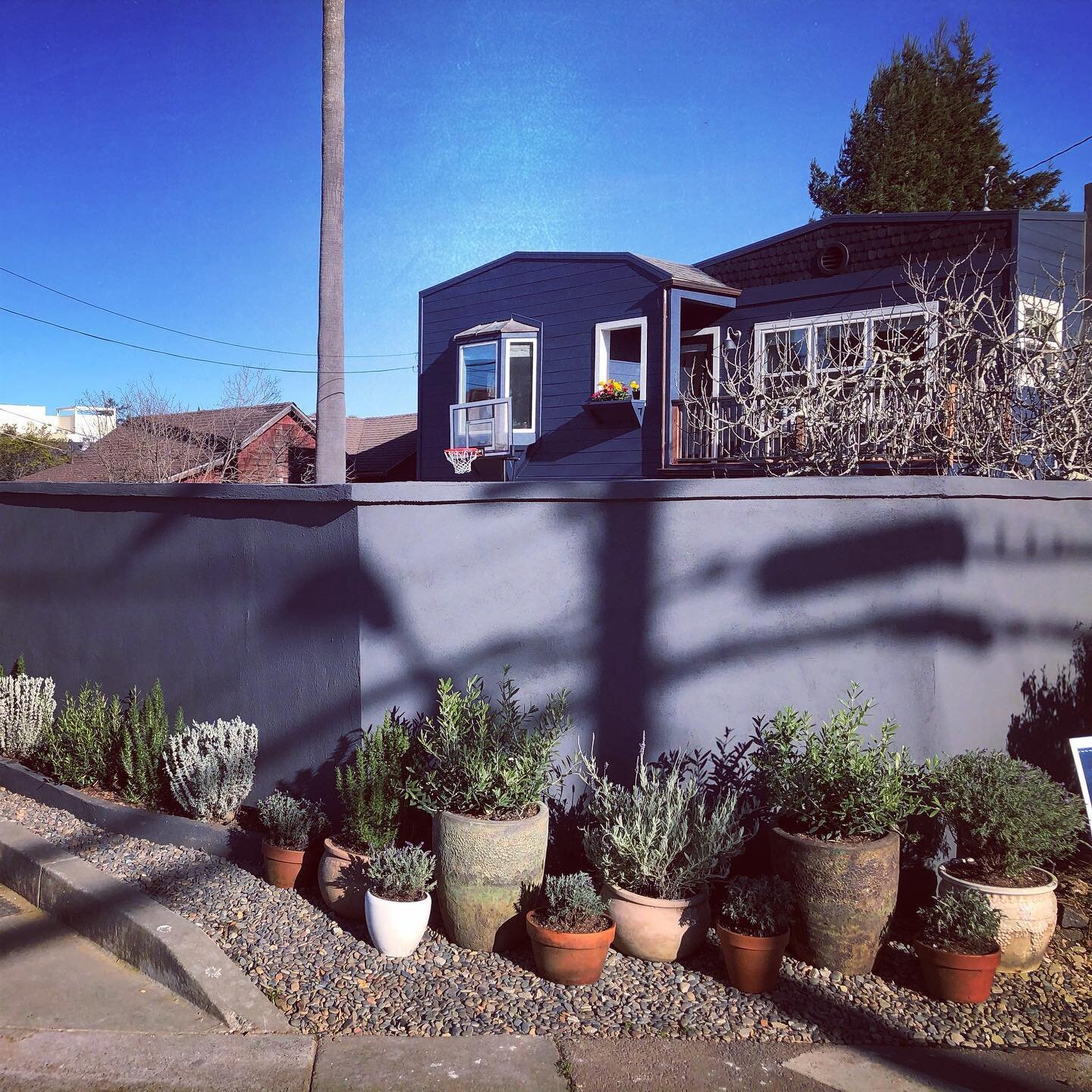 spring 2020 is fast approaching! with this project we really gave this corner property in #millvalley a big upgrade. new stucco walls with beautiful mediterranean plantings of olive trees with lavender boarders, built a small roof/deck in vibrant red