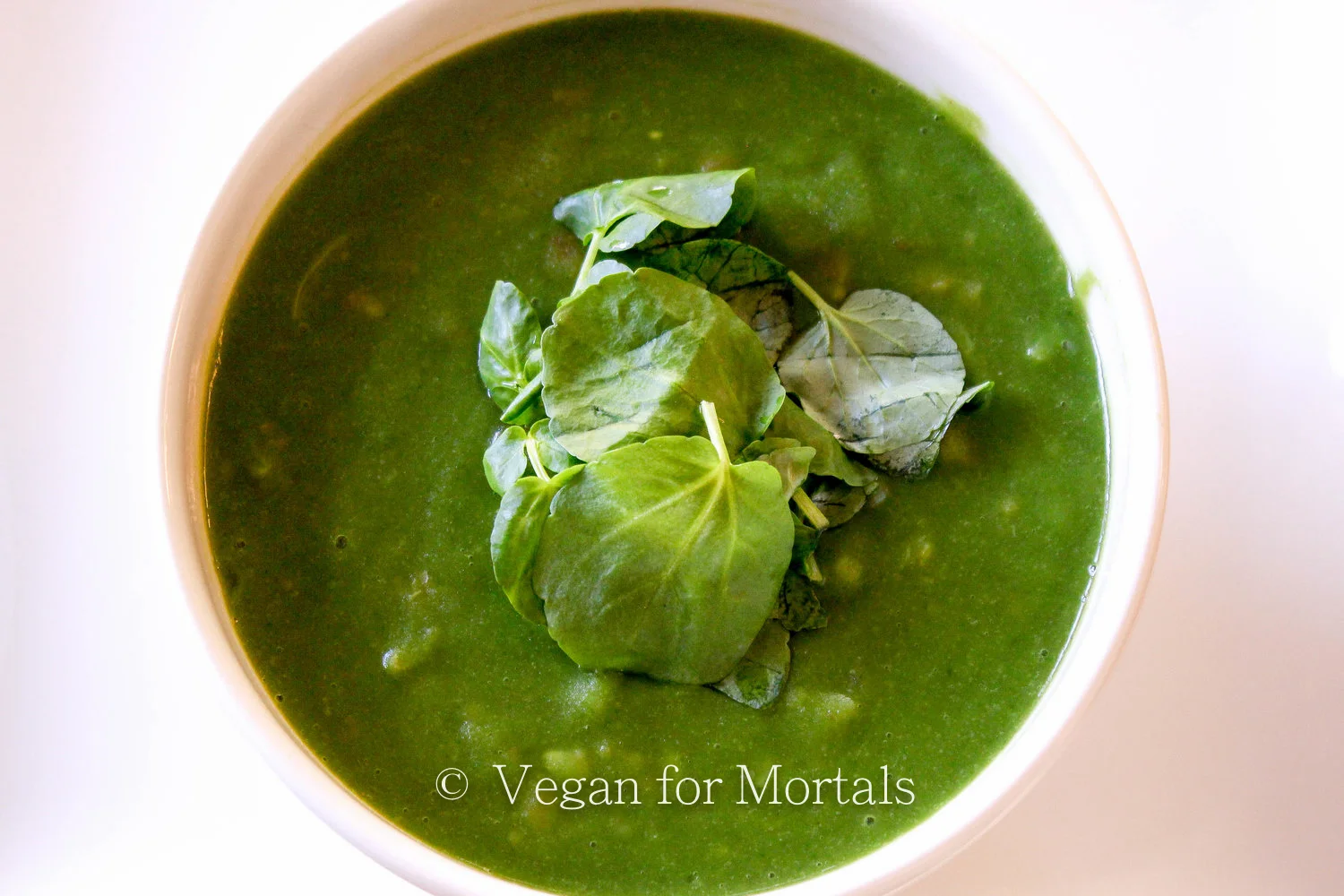 Winter Greens Soup