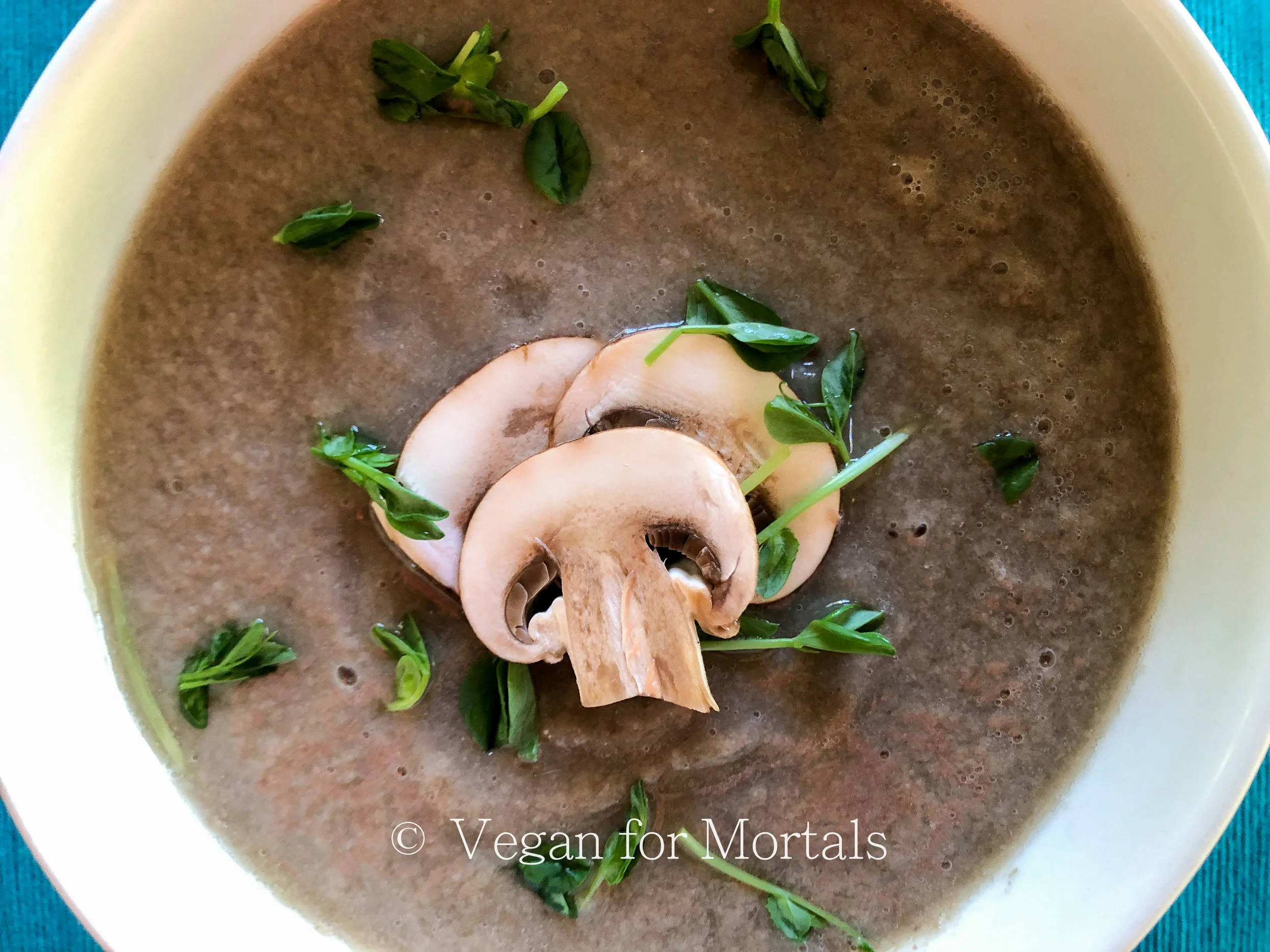 Cream of Mushroom Soup