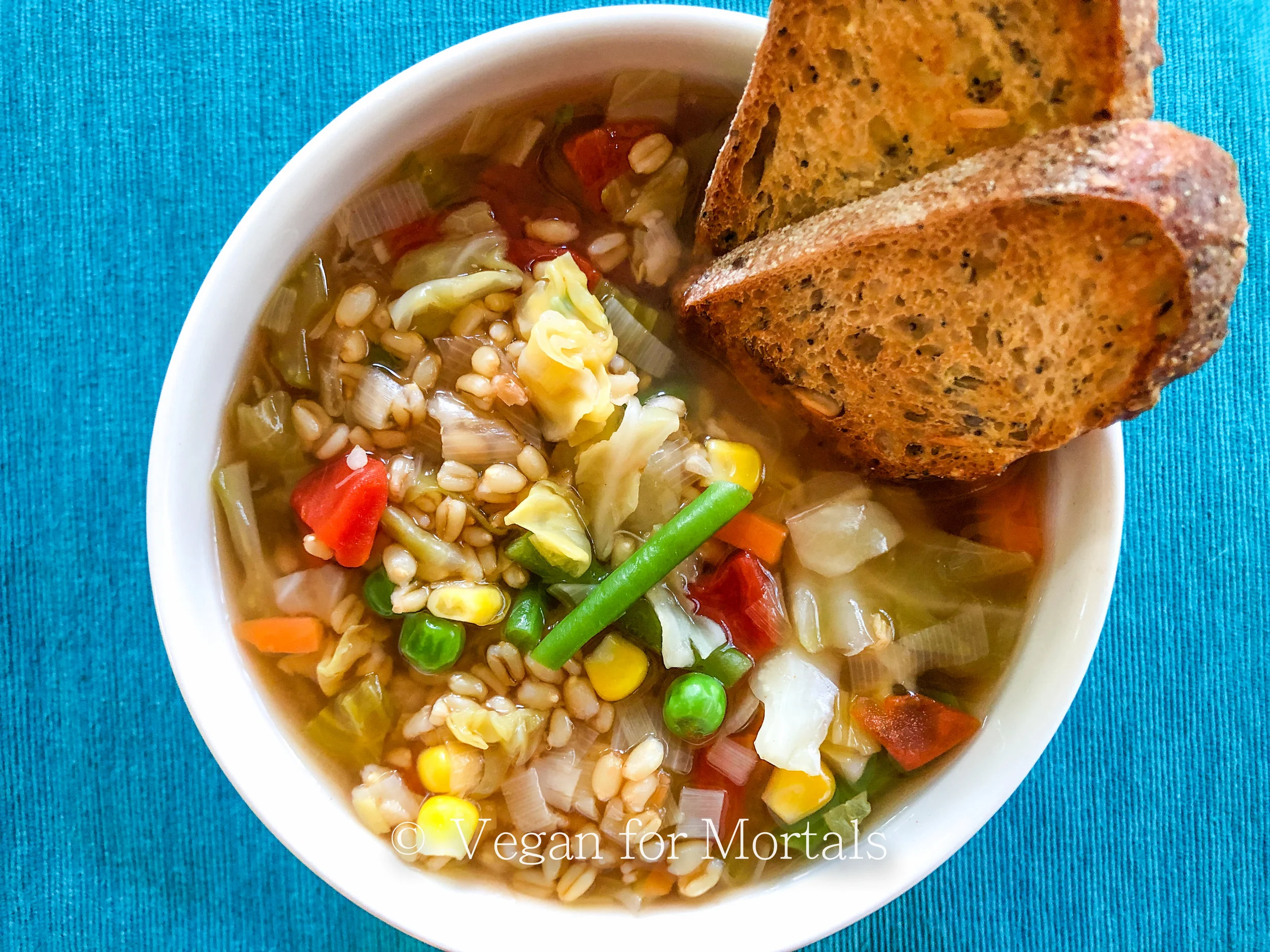 Vegetable Barley Soup