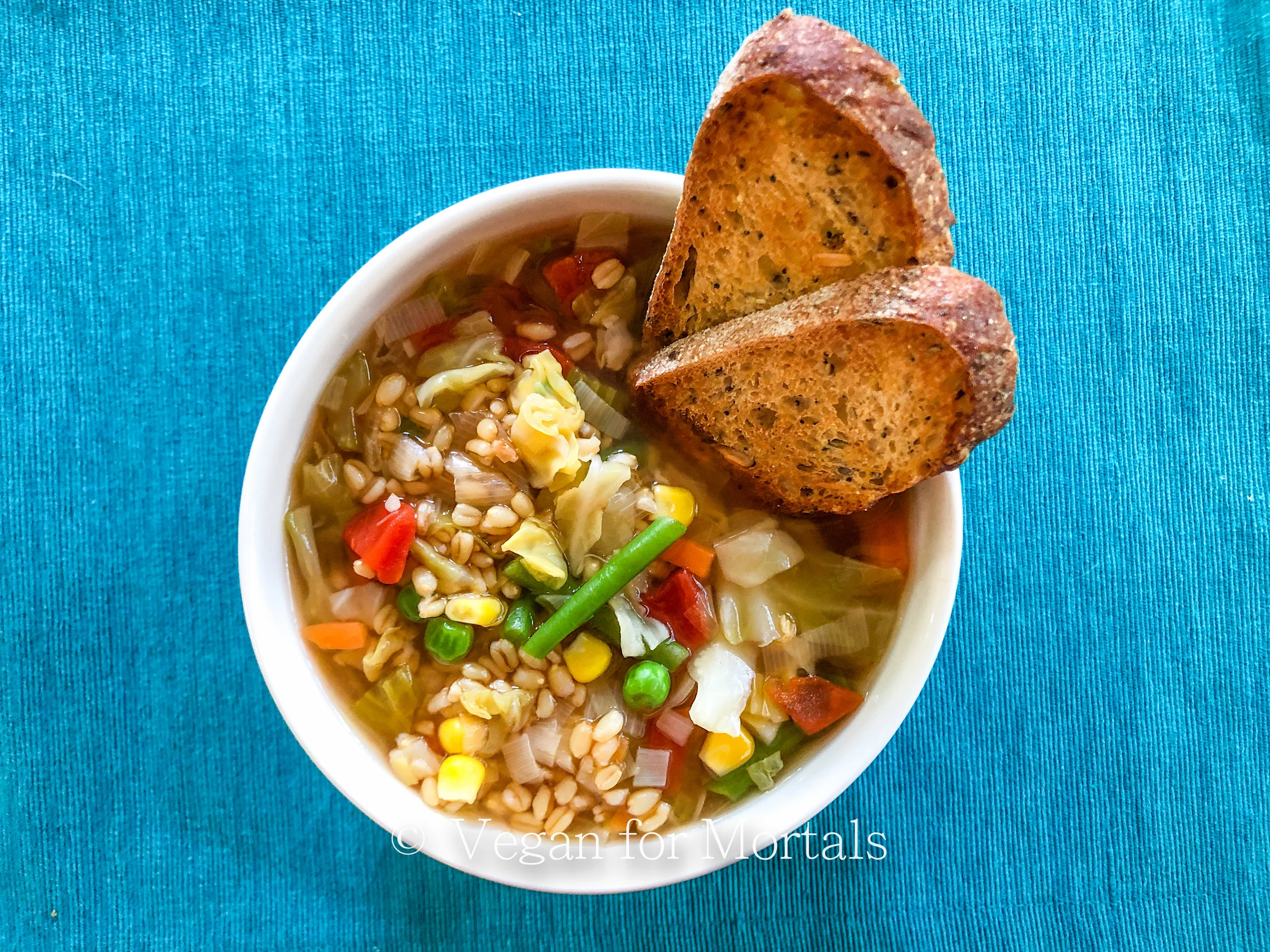 Vegetable Barley Soup