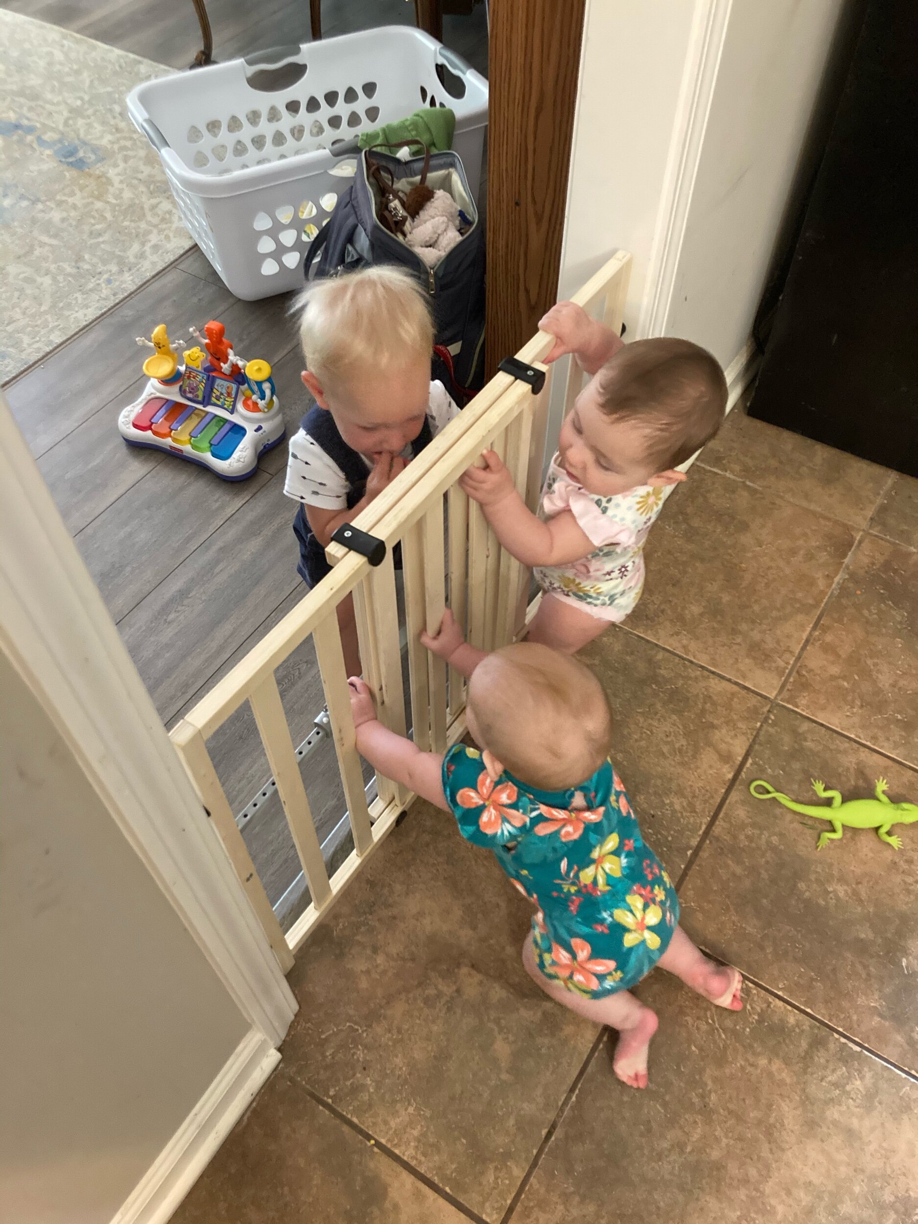 IMG_3049.jpeg